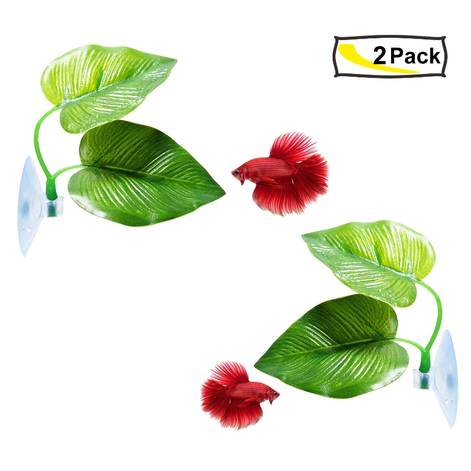 CousDUoBe 2 Pack Betta Fish Leaf Pad Improves Betta's Health by Simulating The Natural Habitat - Natural, Organic, Comfortable Rest Area for Fish Aquarium Ornaments