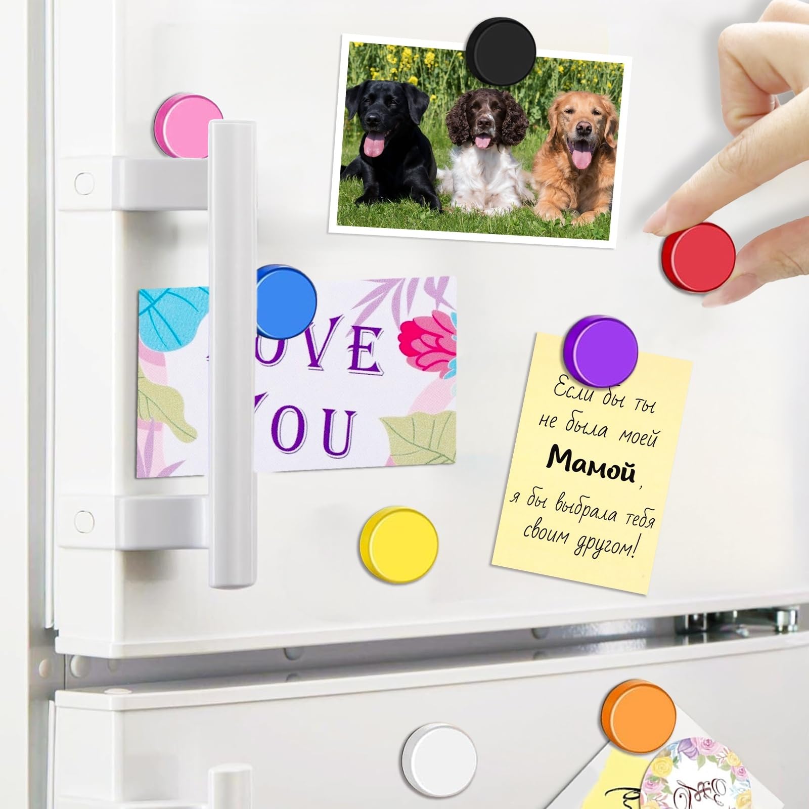 Qualsen Fridge Magnets, 20 Pack Refrigerator Magnets, Heavy Duty Magnet Whiteboard, Locker Magnets, Office Magnets (10 Colors,Plain)