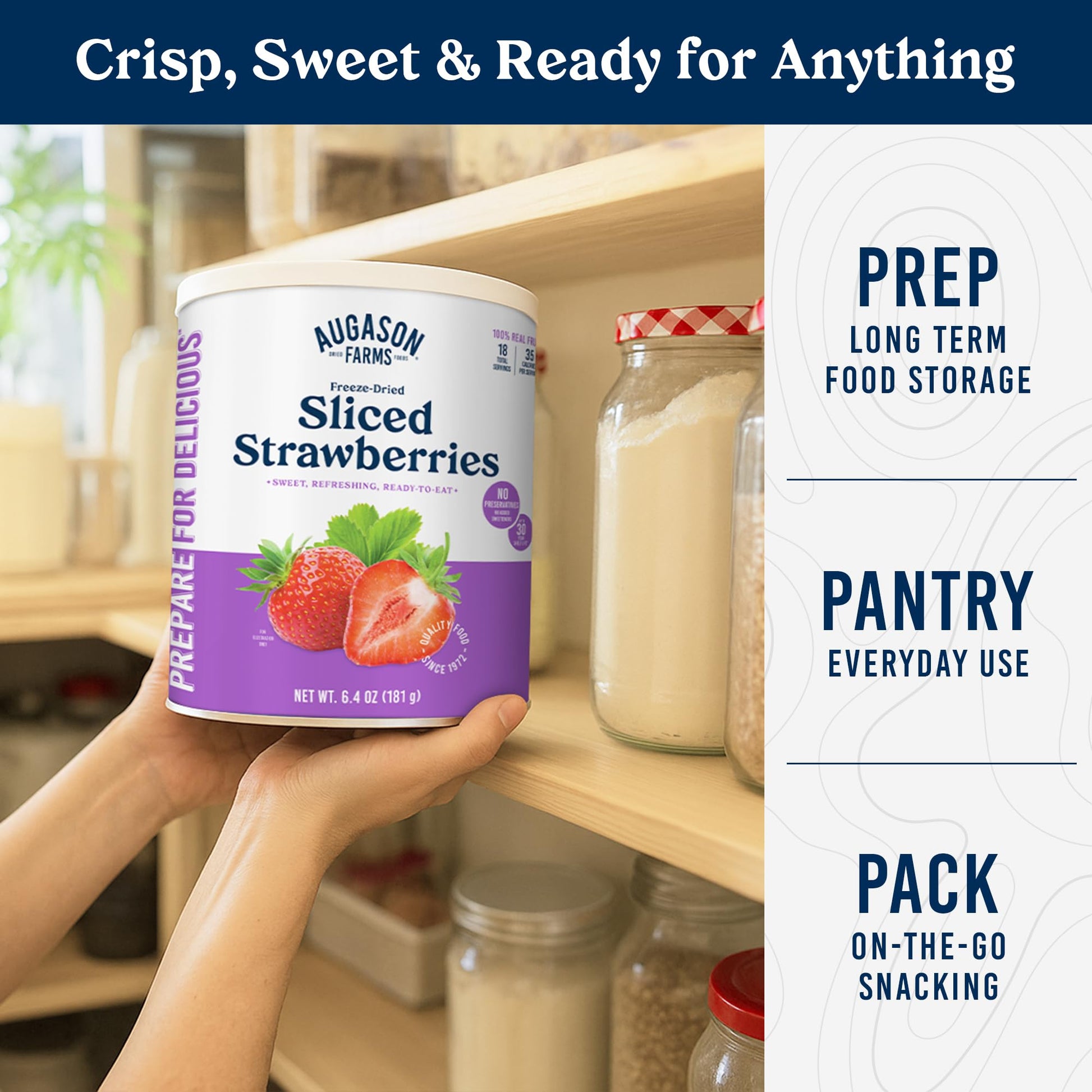 Augason Farms Freeze Dried Sliced Strawberries Can - Gluten Free Snack for Baking, Smoothies, and Emergency Storage - Healthy Individual Fruit Snacks – 6.5 Ounces (18 Servings)