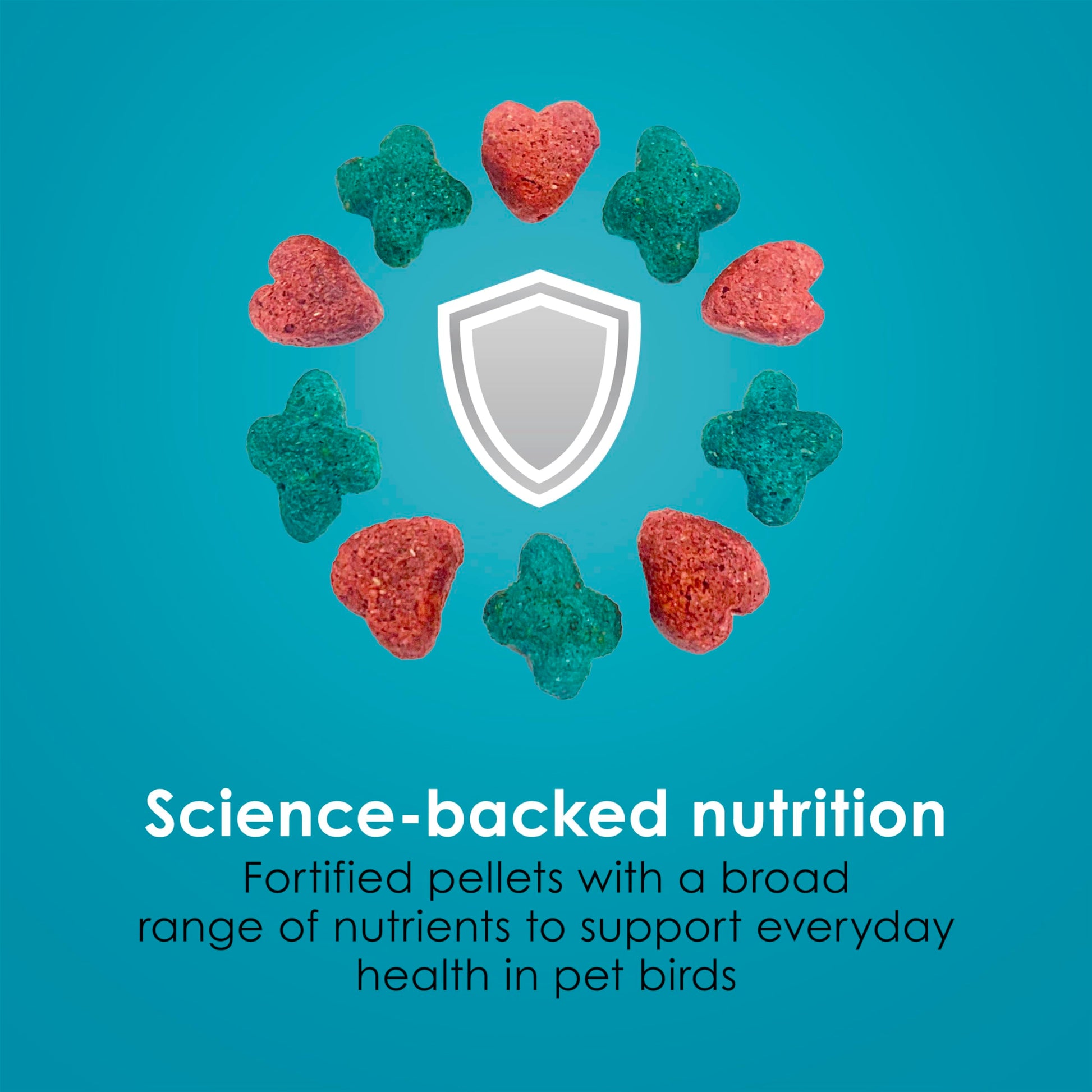 Kaytee Forti-Diet Pro Health Nourish+Protect Conure & Lovebird Food, Comprehensive Nutrition Backed by Science, Digestive Health, Immune Support, 4 pounds