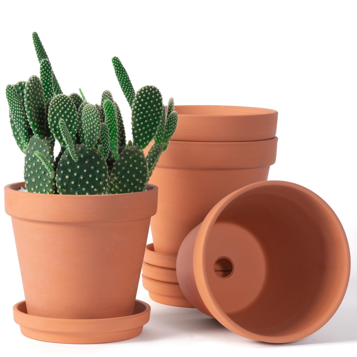 6 Zoll Terrakotta- & Tontöpfe für Pflanzen mit Untersetzer, mittelgroße Terrakotta-Pflanztöpfe mit Drainageloch, Blumentopf mit Schale, Terrakotta-Topf für Zimmer- und Außenpflanzen - 4er-Pack