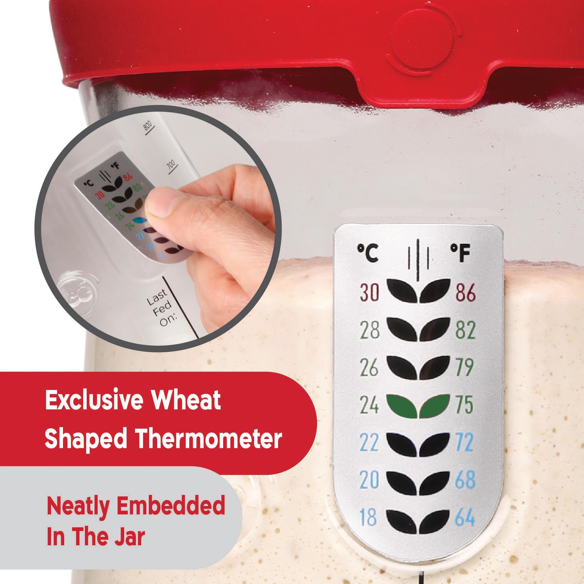 KNEADACE Pro Sourdough Starter Kit - 34oz Large Capacity Glass Fermentation Jar with Lid & Tracker, Sourdough Starter Fermenter for Homemade Sourdough, Bread Dough Prep & Culinary Fermentation, 1 Set