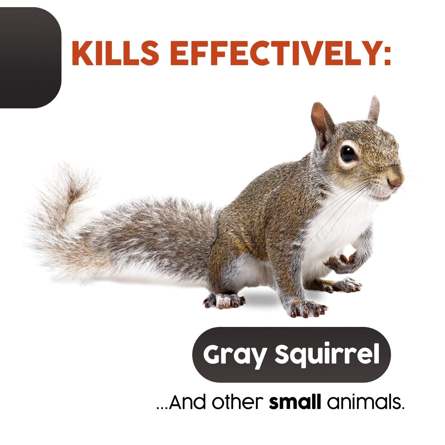 Squirrel Ouell Traps Outdoor (Big)