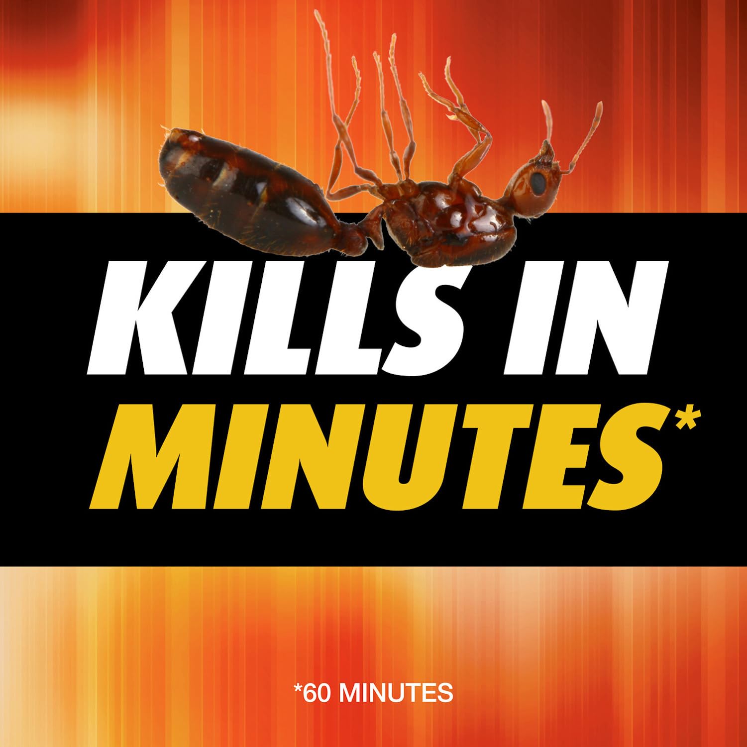Ortho Orthene Fire Ant Killer1, Kills the Queen and Destroys Mounds, Begins Working in 60 minutes, 12 oz., 2-Pack