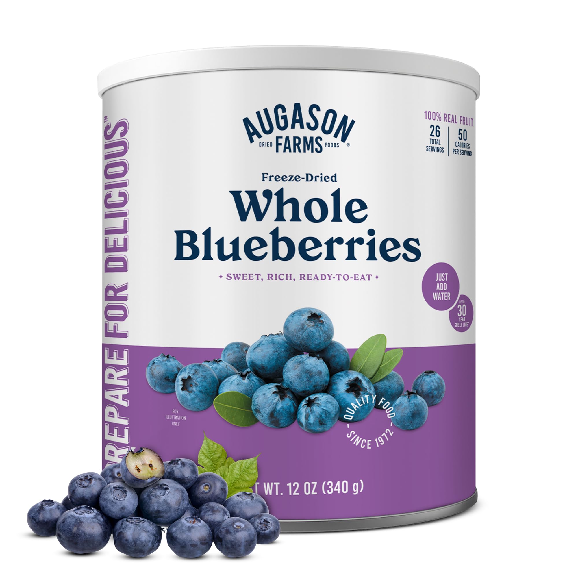 Augason Farms Dried Whole Blueberries Can – Dried Fruit for Baking & Emergency Food Supply – Dehydrated Camping Food with Long Shelf Life for Everyday Meal – 26 Servings