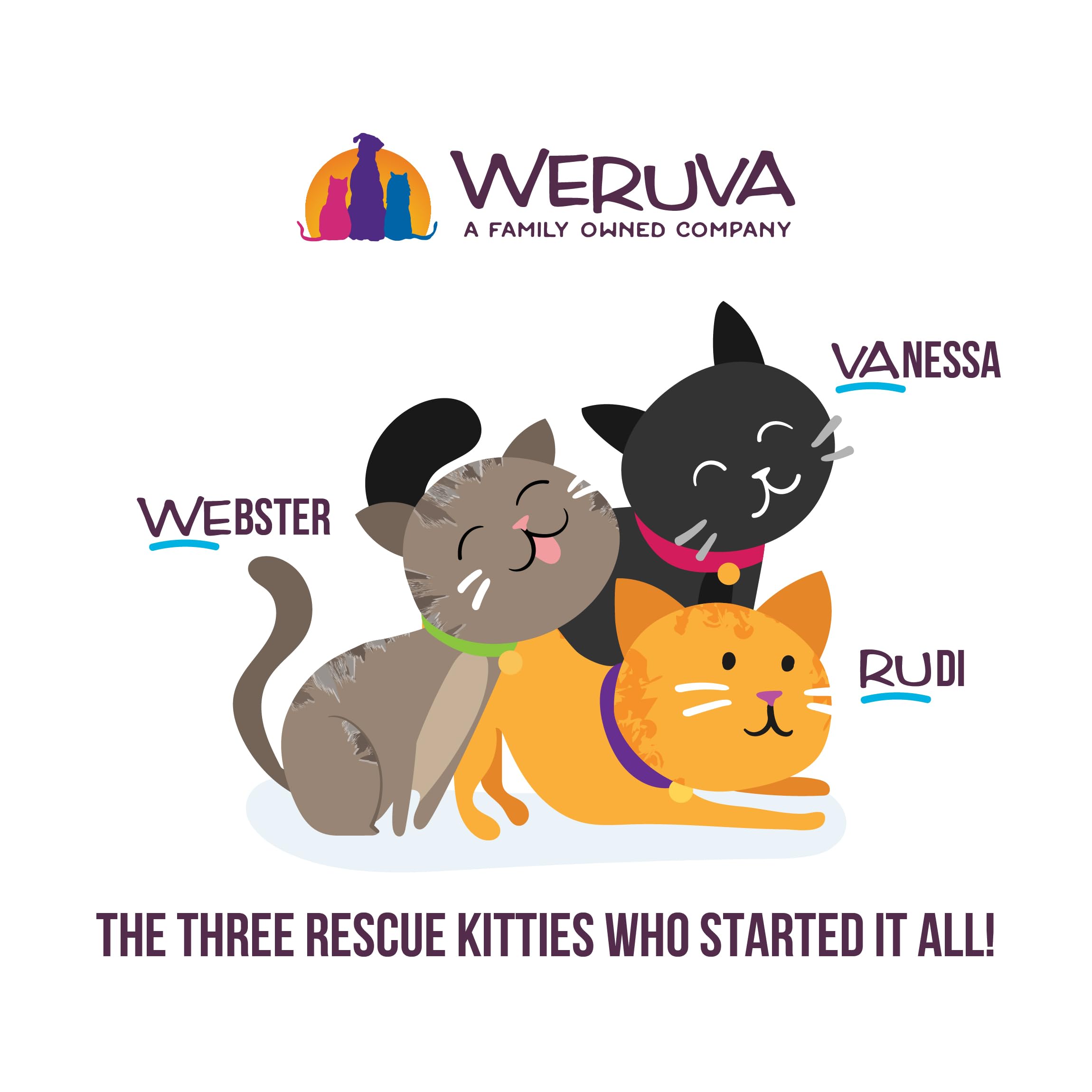 Weruva Cats in The Kitchen, Kitchen Cuties Variety Pack, Wet Cat Food, 3.2oz Can (Pack of 12)