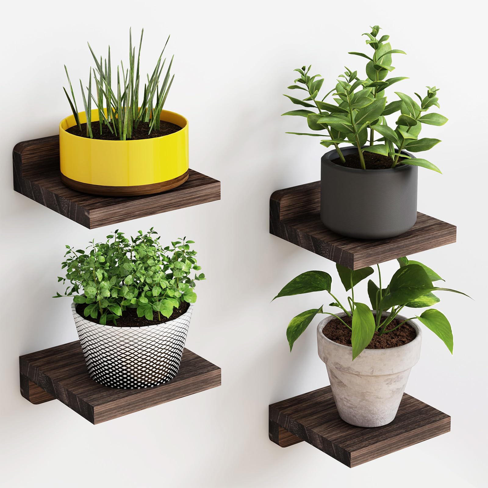 Fixwal Kleine schwebende Regale, 12,7 x 12,7 cm Wandregal-Set mit 4 Stück, rustikale kleine Wandregale aus Holz für Schlafzimmer, Wohnzimmer, Küche, Badezimmerdeko (dunkel verkohltes Schwarz)