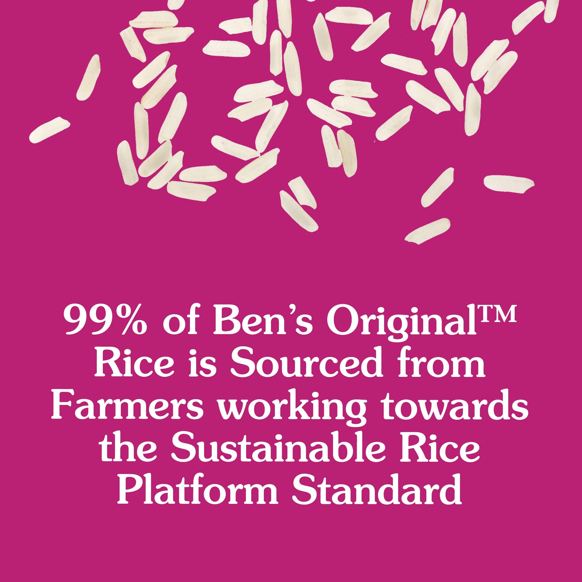 BEN'S ORIGINAL Enriched Long Grain White Rice, Parboiled Rice, 10 lb Bag