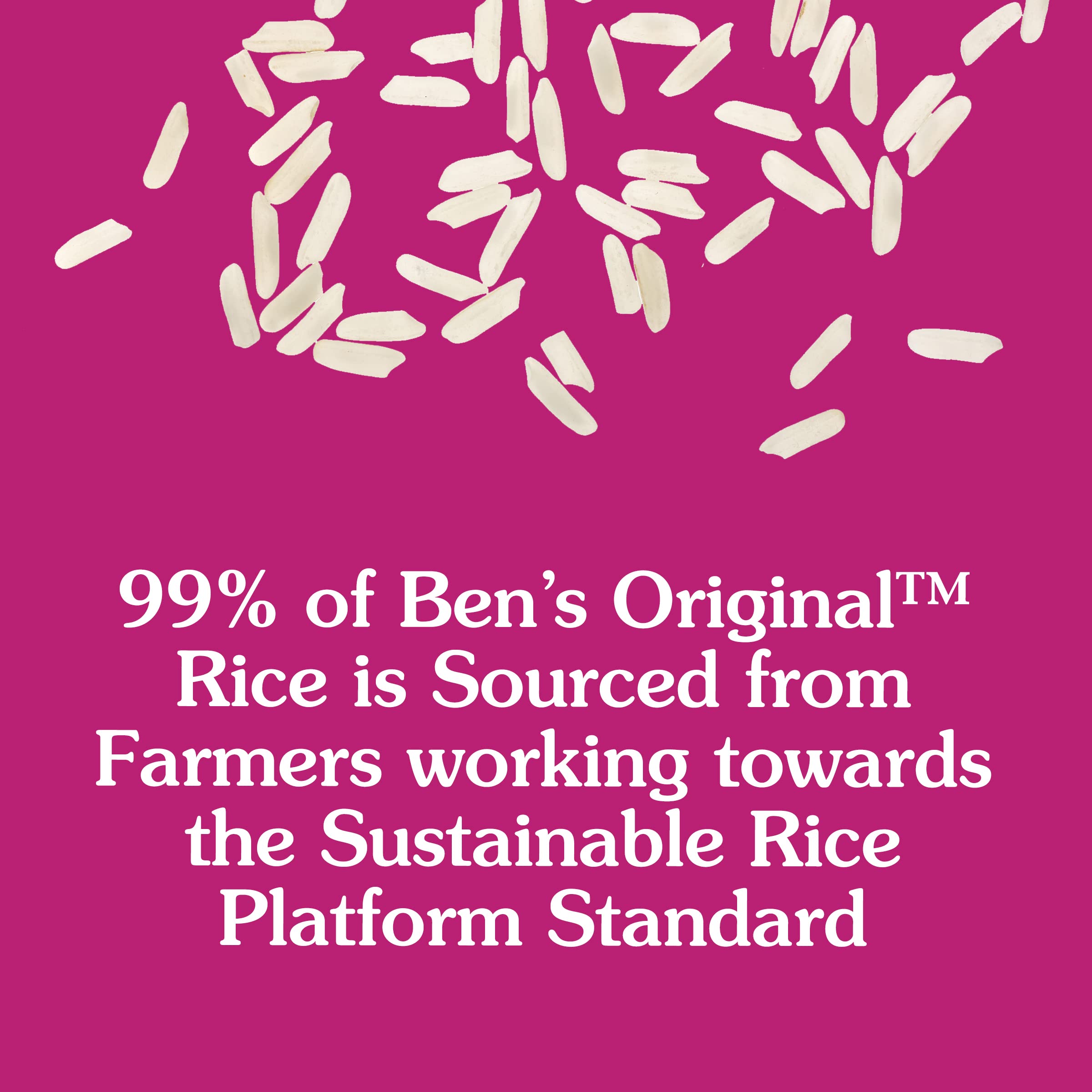 BEN'S ORIGINAL Enriched Long Grain White Rice, Parboiled Rice, 10 lb Bag
