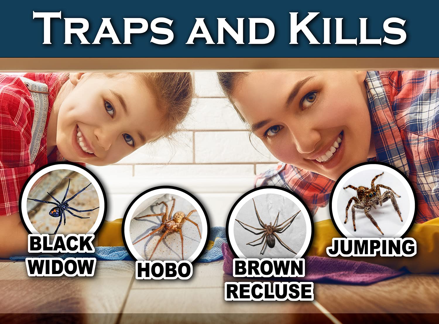 MaxGuard Spider + Insect Traps (12 pcs Box Trap) | Non-Toxic Extra Sticky Glue Traps, Kill Black Widow Hobo Brown Recluse Spiders and Other Crawling Bugs & Insects |