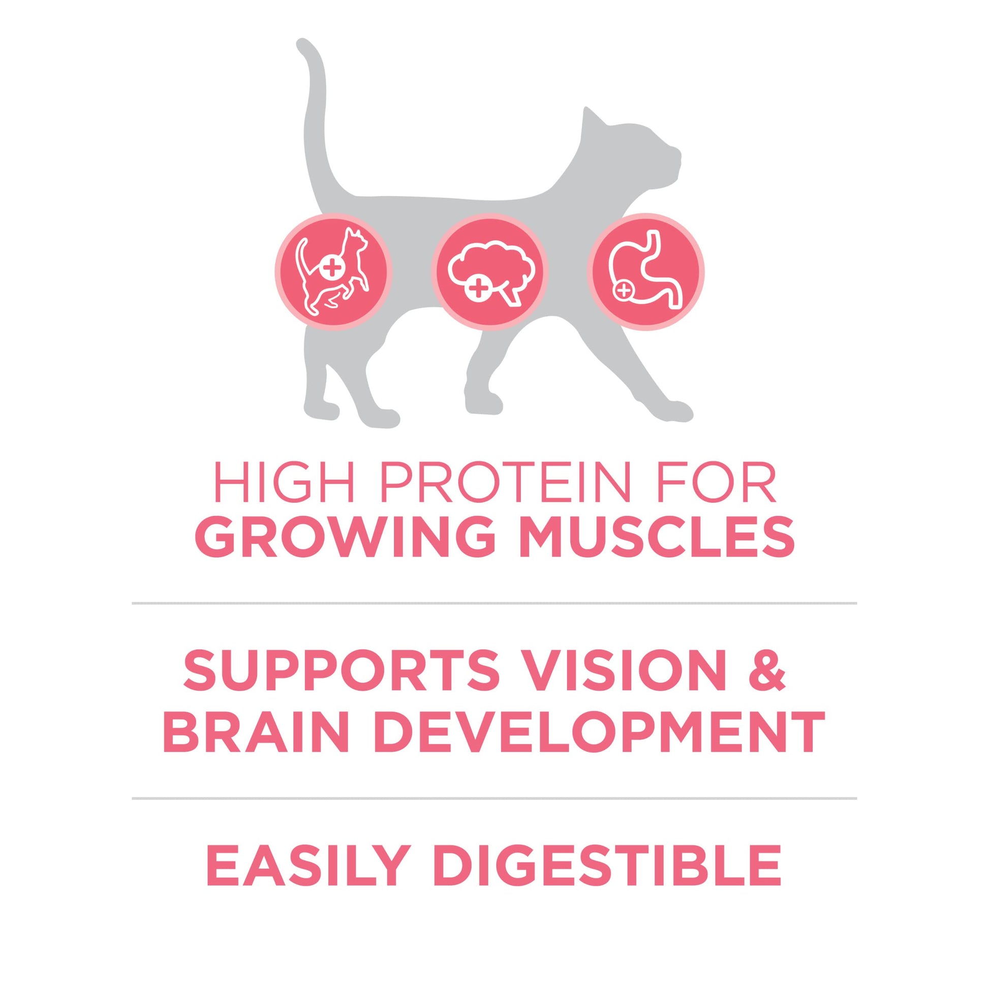 Purina ONE High Protein, Natural Dry Kitten Food, +Plus Healthy Kitten Formula - 7 lb. Bag