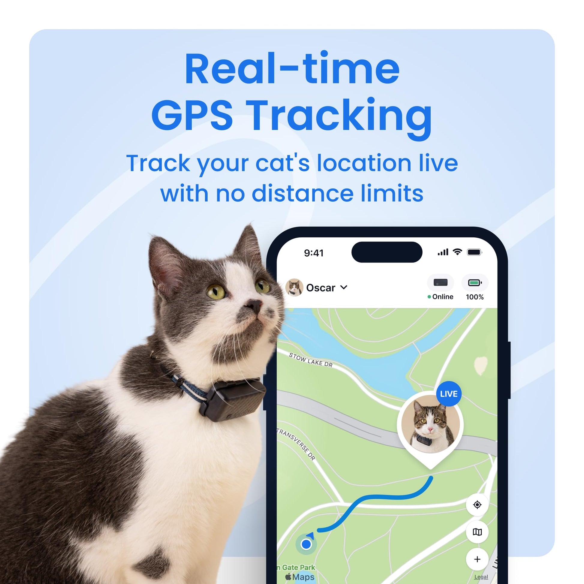 Tractive Smart Cat GPS Tracker | Real-Time Location & Wellness Monitoring for Cats 6.5 lbs+ | Territory & Location History | Up to 5-Day Battery | Breakaway Collar Included (Dark Blue)