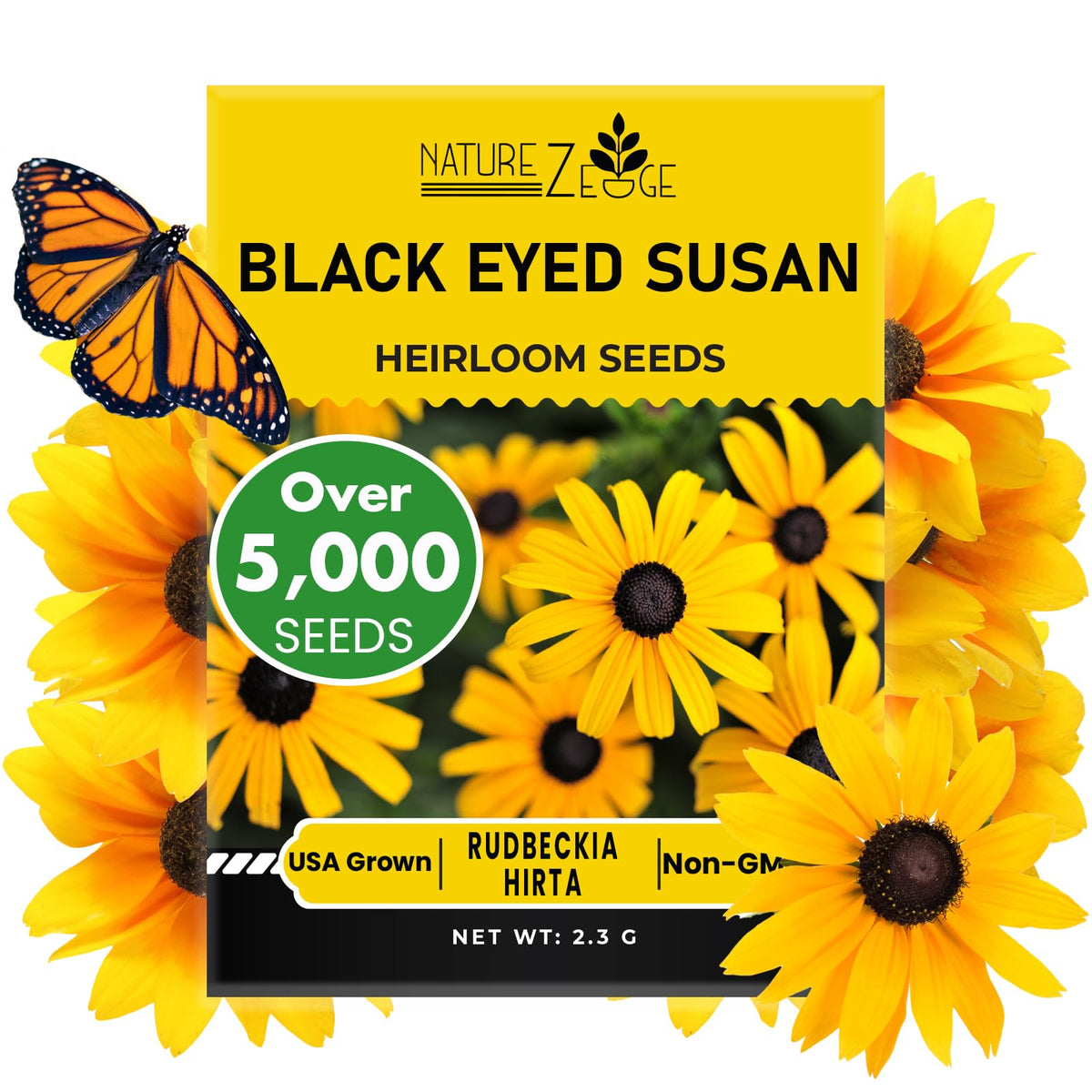 Schwarzäugige Rudbeckien Samen zum Pflanzen, 5000 Samen, für wunderschöne Schwarzäugige Rudbeckien Blüten, gentechnikfrei, alte Samensorten