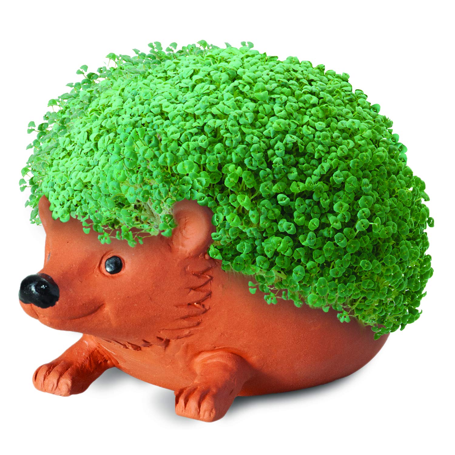 Chia Pet Hedgehog Decorative Pottery Planter with Seed Pack, Decorative Pottery Planter, Easy to Do and Fun to Grow, Novelty Gift, Perfect for Any Occasion