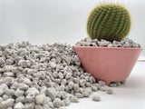 Pumice for Bonsai, Succulent, Cactus | 2 Quarts Bag | 1/4” Particle Size | The Bonsai Supply