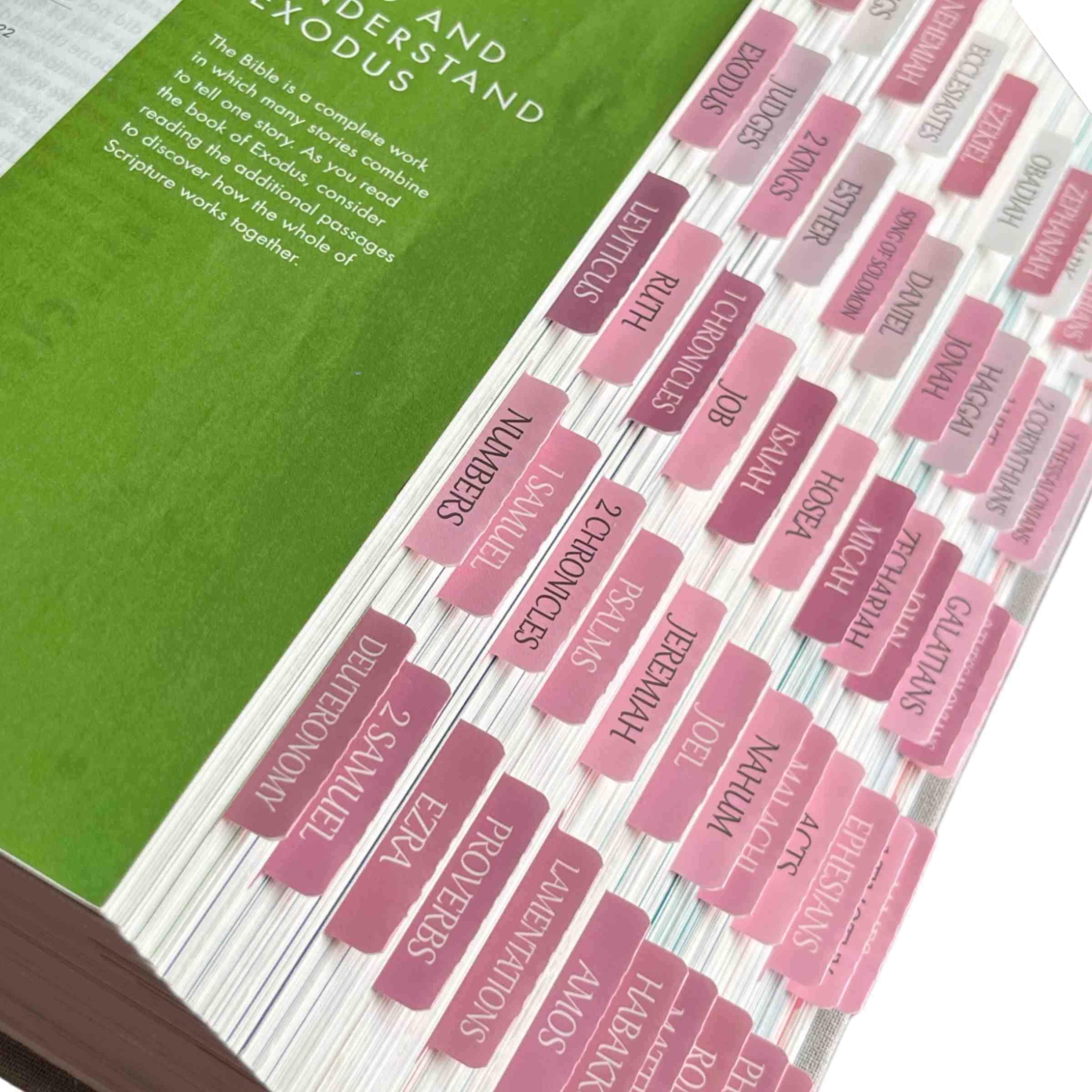 Laminated Bible Tabs, Reposition Large Print Stickers, Easy to Read and Apply Bible Tabs for Women and Man (White Pink)