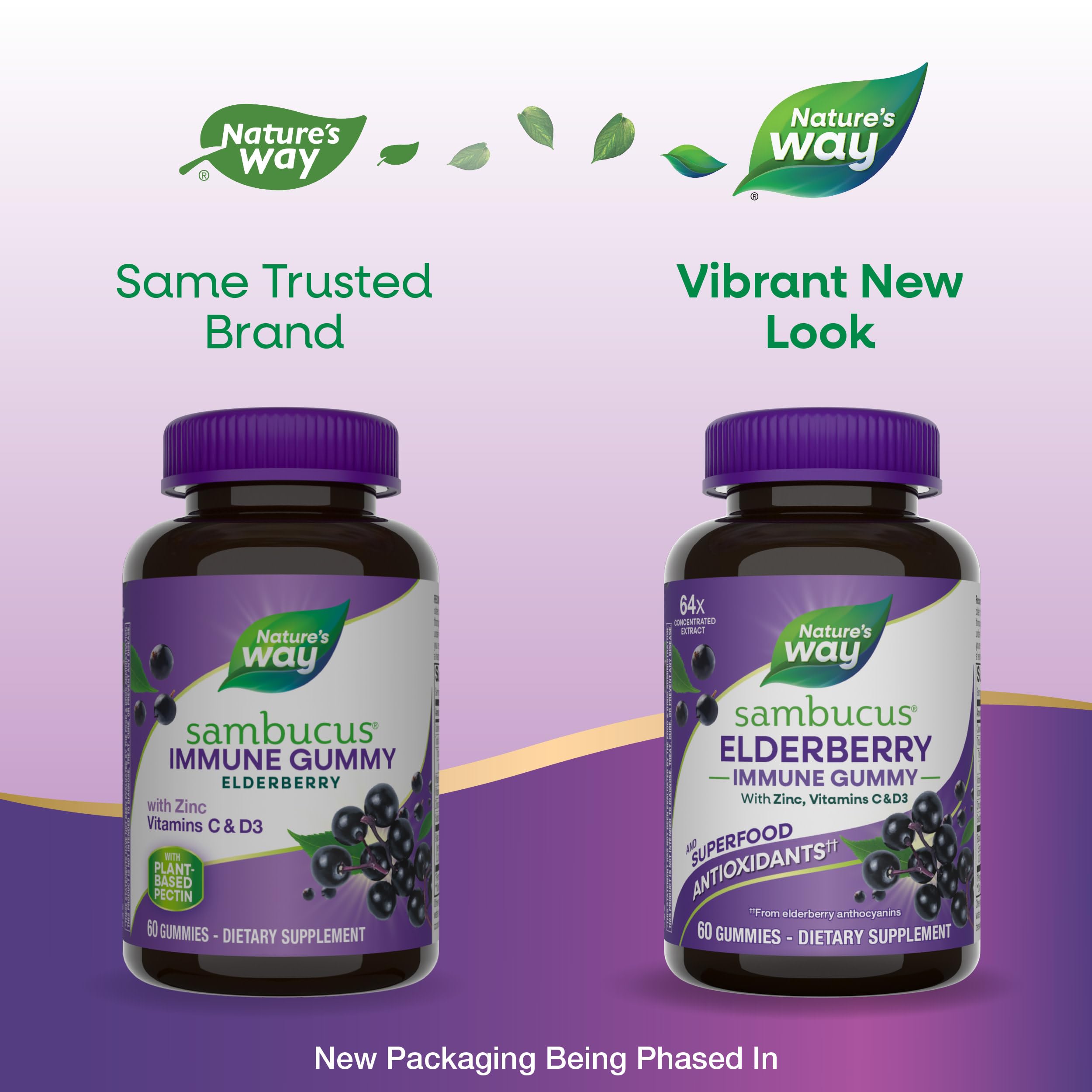 Nature’s Way Sambucus Elderberry Immune Support Gummies for Kids & Adults* with Black Elderberry Extract, Vitamin C, Vitamin D3, and Zinc, 60 Gummies (Packaging May Vary)
