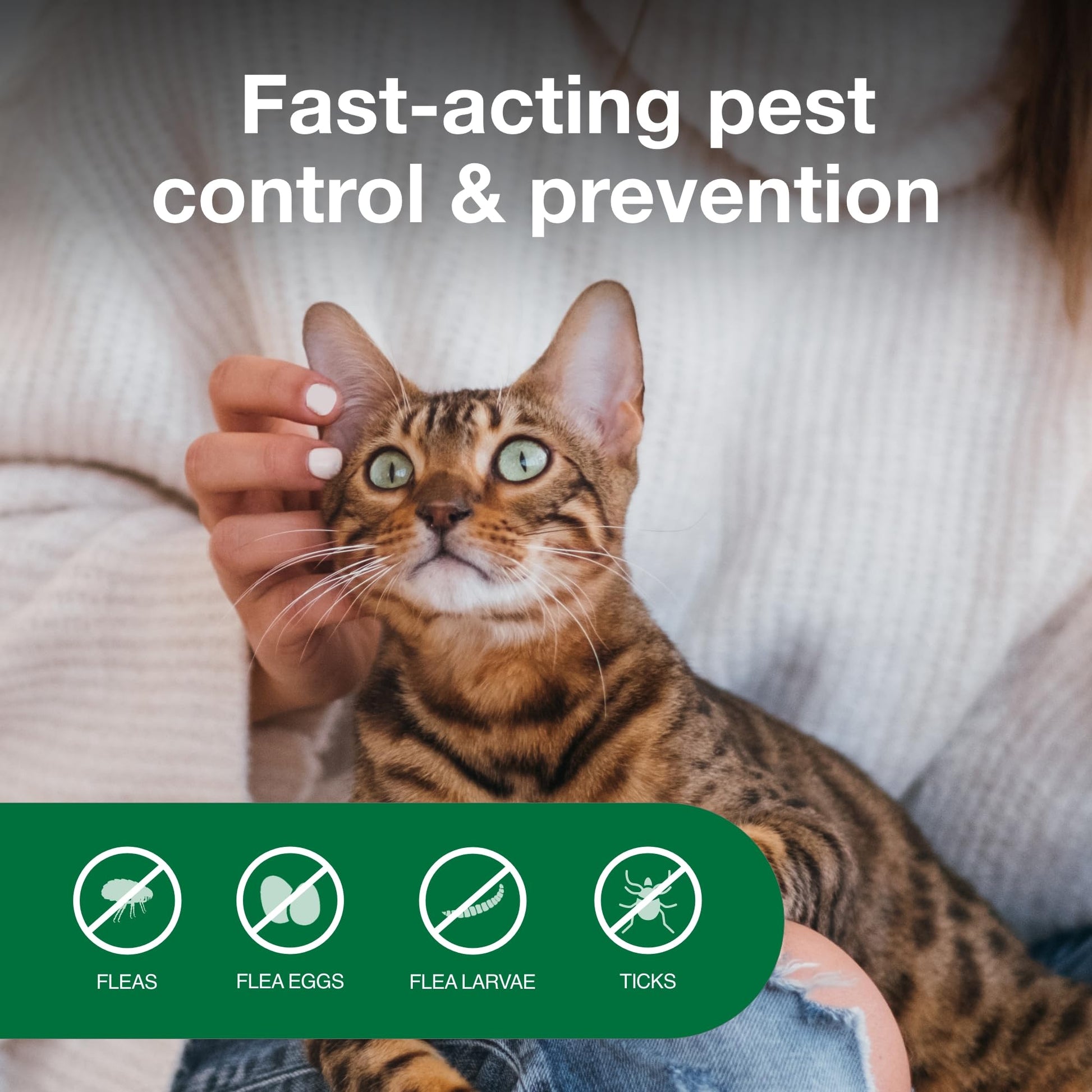 Advantage Household Fogger | Kills Fleas & Ticks | Flea Fogger for Home | 2 oz. Canisters (Pack of 3)