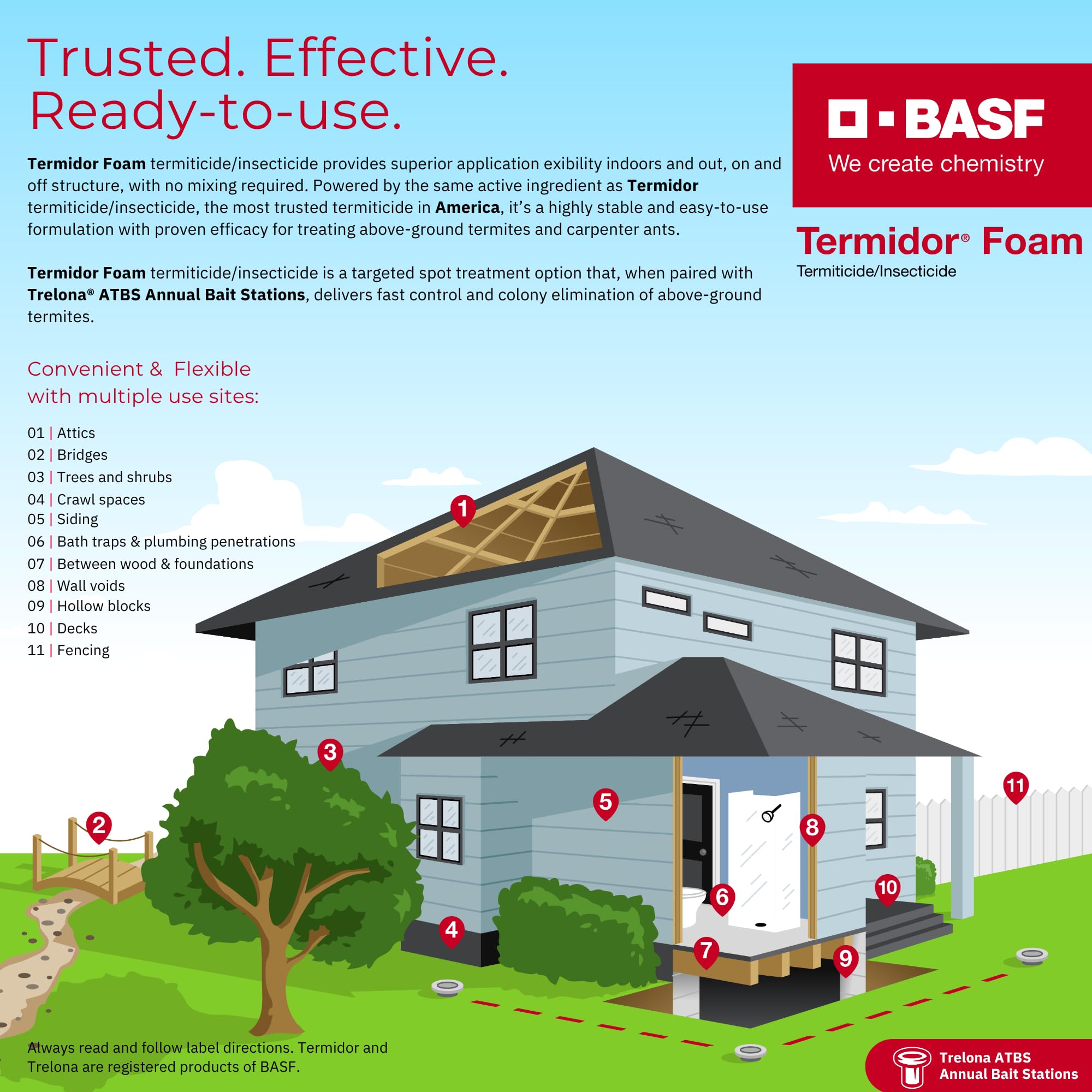 BASF Termidor Foam 20 oz - Termiticide Insecticide for Termites, Ants & Wood Destroying Pests & Insects