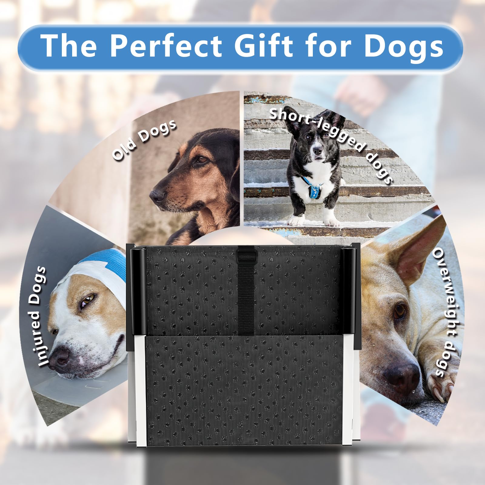 Deergym Dog Stairs for Large Dogs - 5 Step Foldable Dog Ramp for Car Non-Slip Surface Support up to 230lbs - Suitable for SUV,Truck, Sofas, Bed