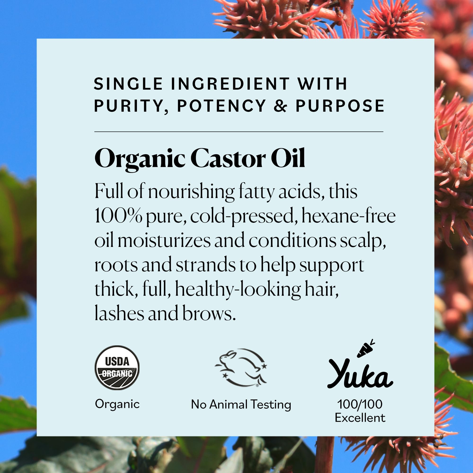 Sky Organics Organic Castor Oil, 100% Pure, Hexane Free, Cold-Pressed to Support Stronger, Fuller-Looking Hair, Eyelashes & Eyebrows,Good for Castor Packs, Navel Oiling, Carrier Oil Use, 16 fl oz