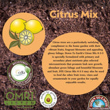 Down to Earth Organic Citrus Fertilizer Mix 6-3-3, 1 lb