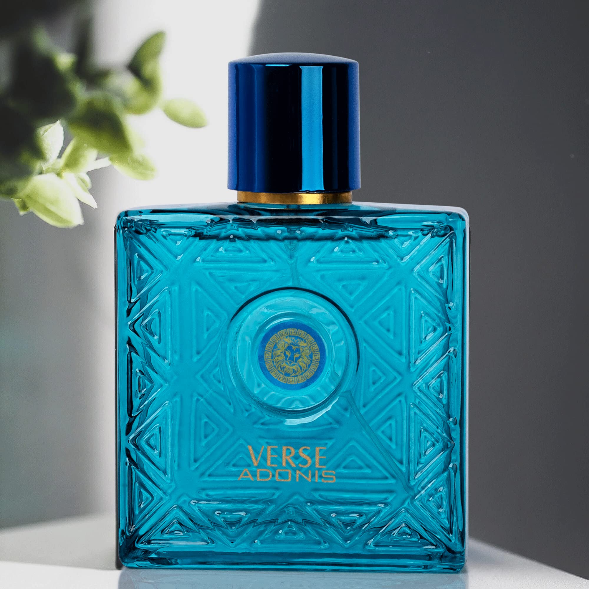 NovoGlow Verse Adonis Eau De Parfum for Men 3.4 Fl. Oz. 100ml Men's Perfume Refreshing Combination of Woody Floral & Fruity Scents - Masculine Scent Lasts All Day A Gift for Any Occasion