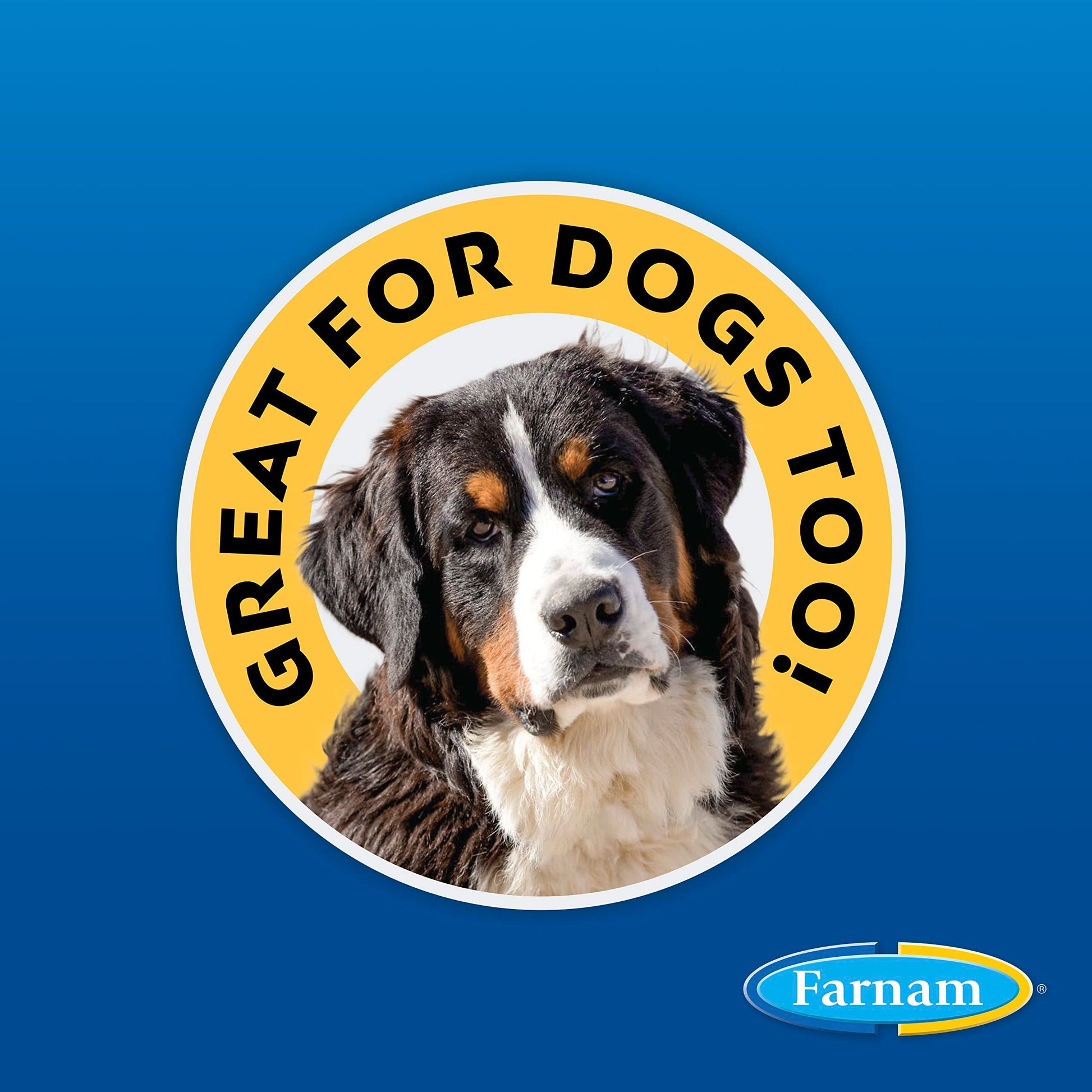 Farnam SWAT Clear Fly Repellent Ointment for Horses, Repels House, Stable, Face & Horn Flies, Protects Wounds on Horses, Ponies & Dogs, 7 oz.