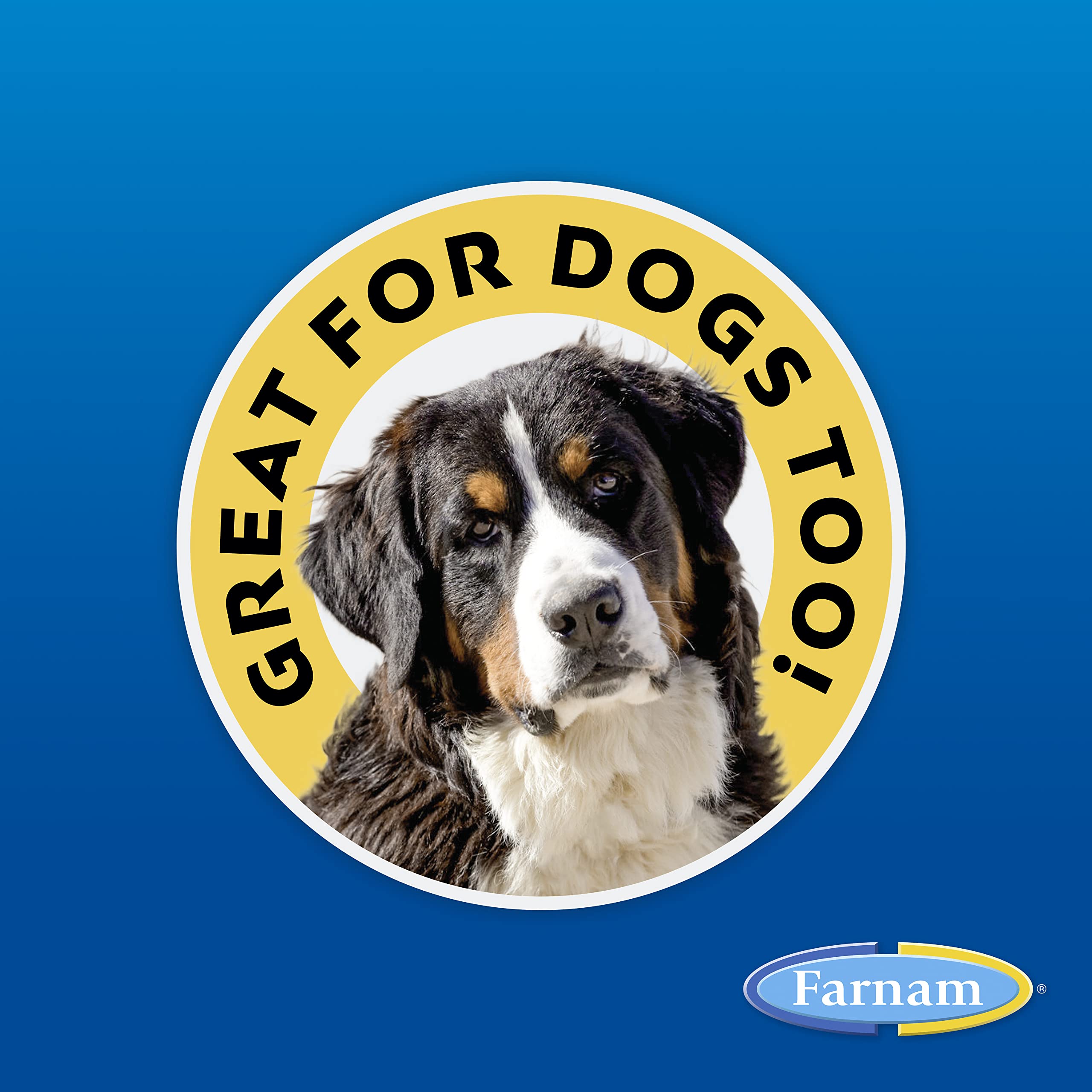 Farnam SWAT Clear Fly Repellent Ointment for Horses, Repels House, Stable, Face & Horn Flies, Protects Wounds on Horses, Ponies & Dogs, 7 oz.