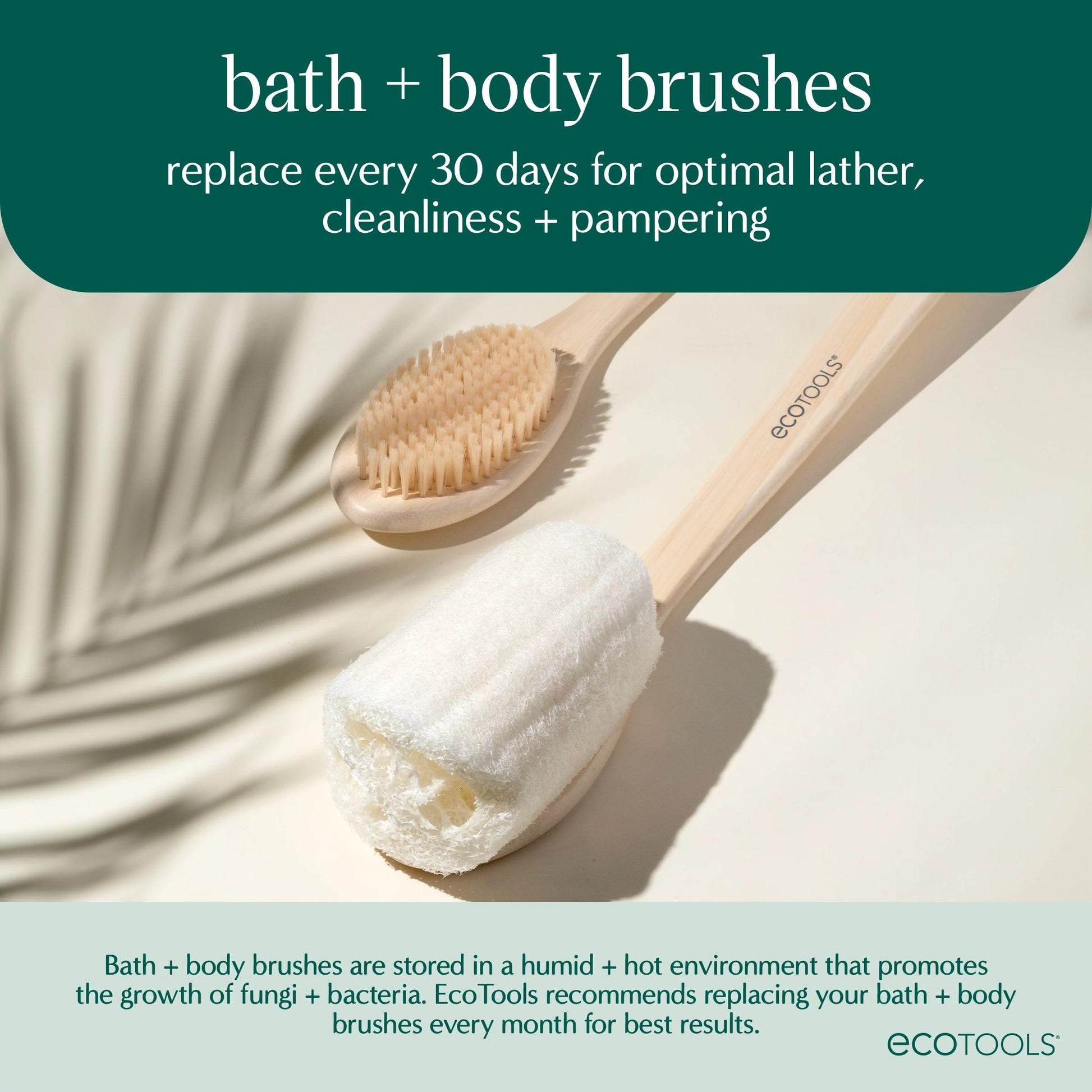 EcoTools Dry Body Brush, Cruelty-Free Bristles Exfoliate & Smooth Skin, Dry Brushing Removes Flaky Skin, May Help Improve Circulation & Tone, Eco-Friendly Skincare Tool, Vegan & Cruelty-Free, 1 Count
