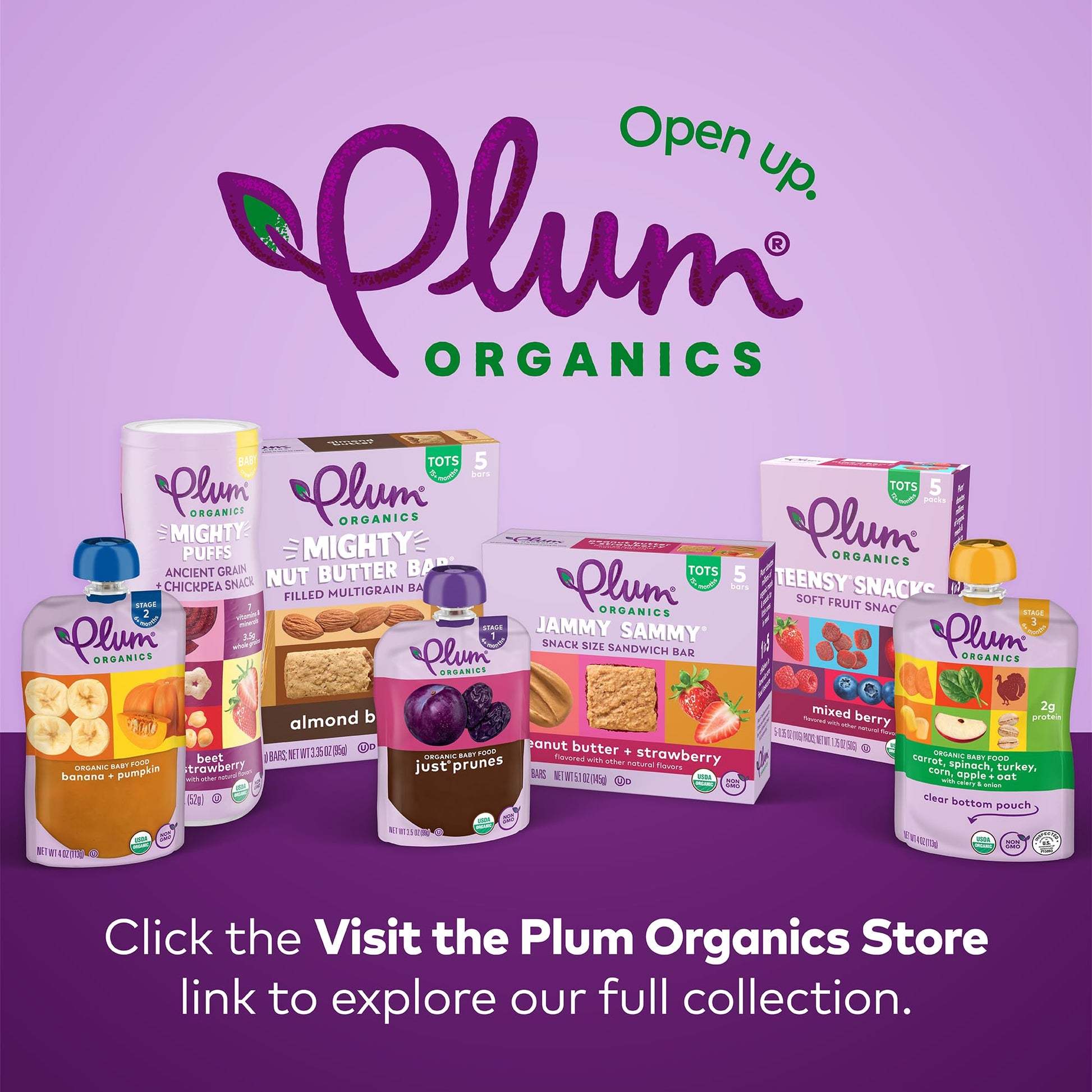 Plum Organics Mighty Snack Bars - Blueberry - 0.67 oz Bars (Pack of 6) - Organic Fruit and Vegetable Toddler Food Snack Bars