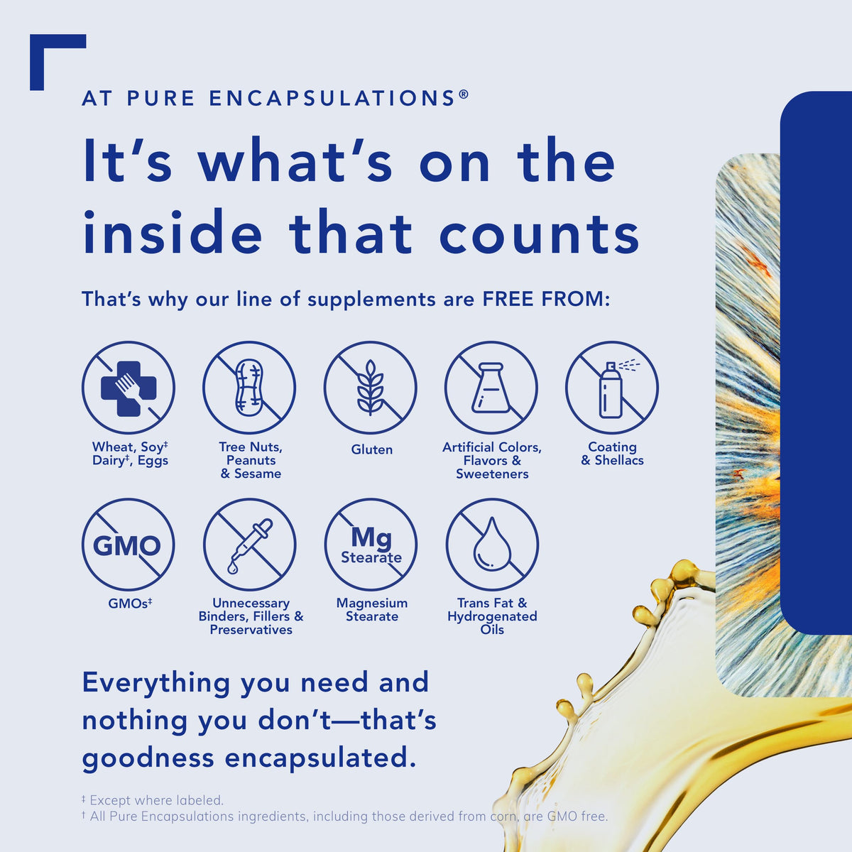 Pure Encapsulations L-Lysine - مكمل غذائي أساسي من الأحماض الأمينية لدعم المناعة وصحة اللثة والشفاه* - مع إل-ليسين هيدروكلوريد - 90 كبسولة