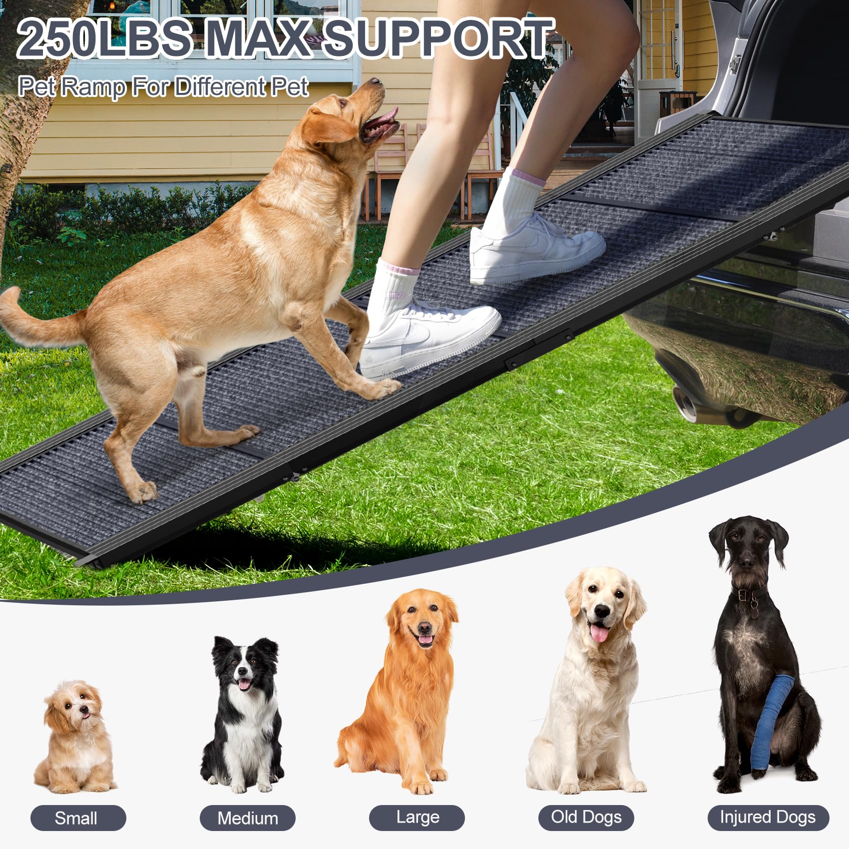 HerCcreta wigge Dog Ramp for Car 63" Long & 17" Wide Portable Dog Ramps for Large Dogs with Non-Slip Rug Surface Dog Car Ramp for SUV Car & Truck, Folding Dog Ramp Up to 250LBS