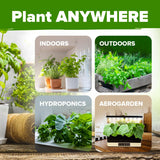 10 Culinary Herb Seeds - Non-GMO, Heirloom Seeds - 3000+ Seeds for Planting for Outdoor or Indoor Herb Garden, Basil, Cilantro, Parsley, Chives, Thyme, Oregano, Dill, Marjoram, Mint, Tarragon