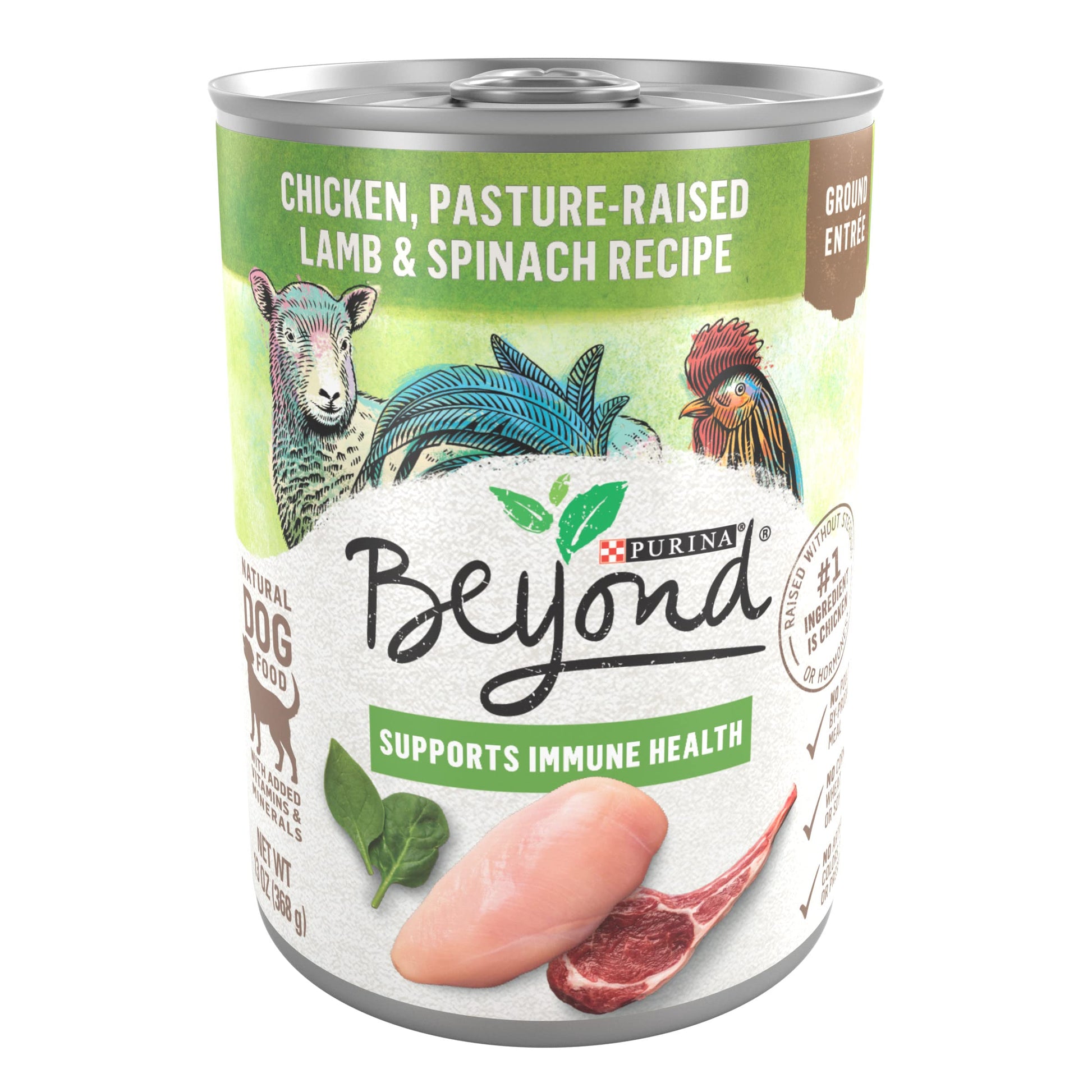 Purina Beyond Grain Free Gravy Wet Dog Food, Grain Free Turkey & Green Bean Recipe in Gravy - (12) 12.5 oz. Cans