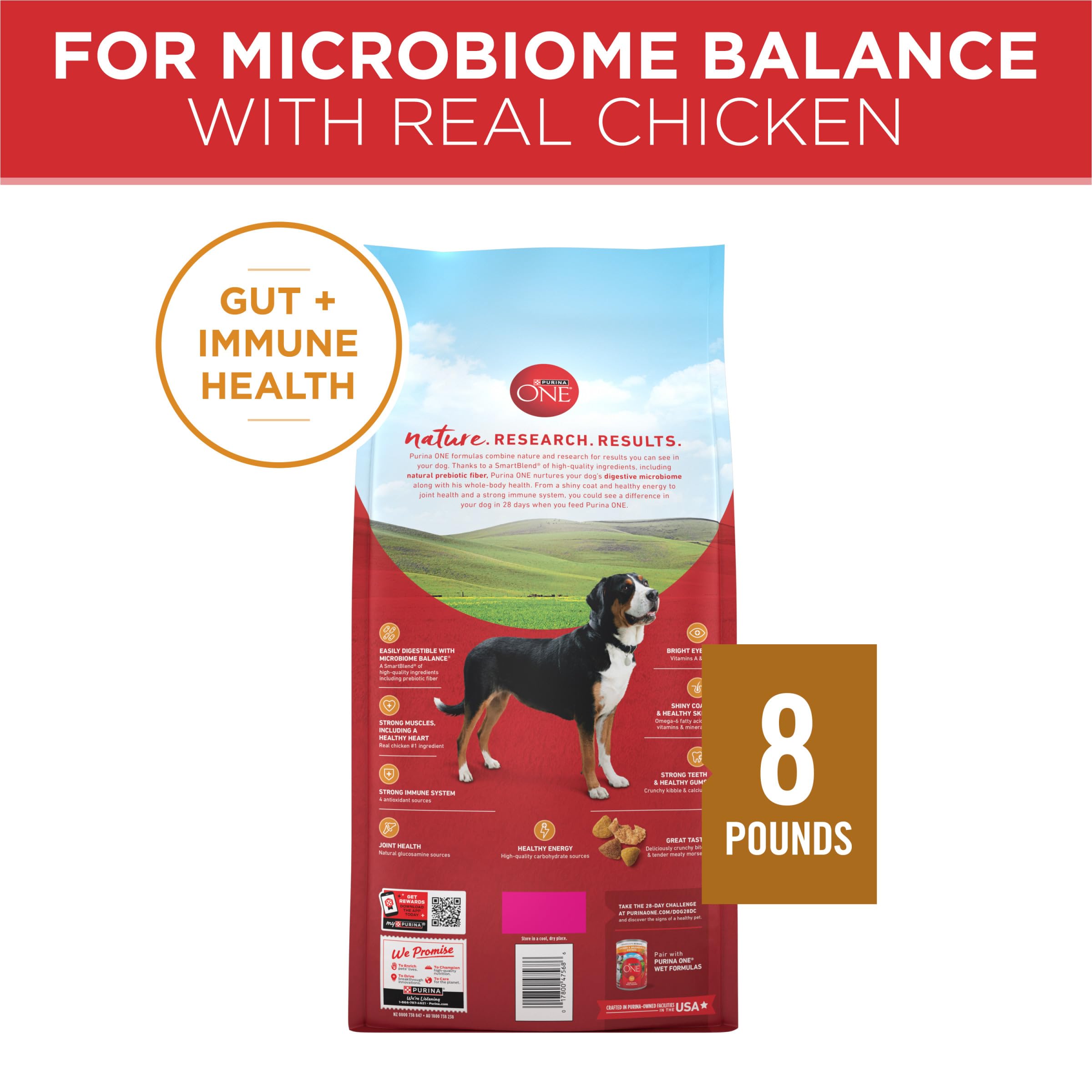 Purina ONE Chicken and Rice Formula Dry Dog Food - 8 lb. Bag