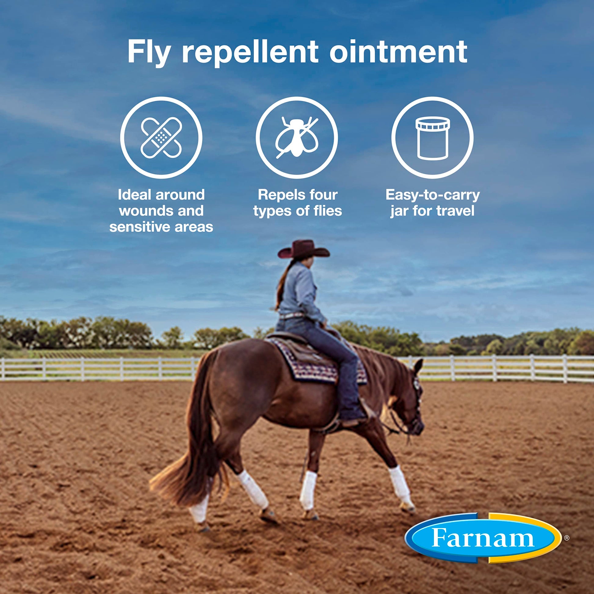 Farnam SWAT Clear Fly Repellent Ointment for Horses, Repels House, Stable, Face & Horn Flies, Protects Wounds on Horses, Ponies & Dogs, 7 oz.