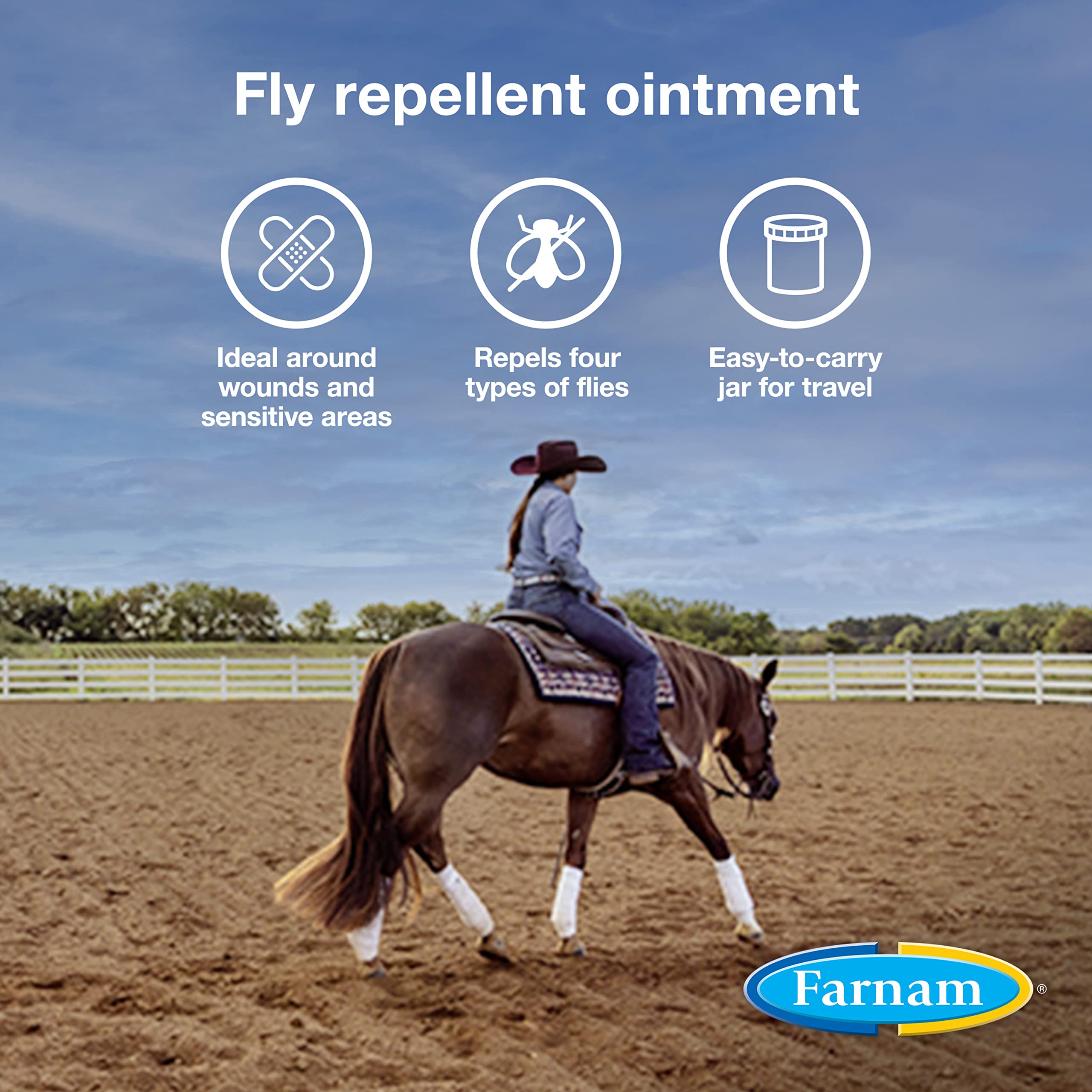 Farnam SWAT Clear Fly Repellent Ointment for Horses, Repels House, Stable, Face & Horn Flies, Protects Wounds on Horses, Ponies & Dogs, 7 oz.