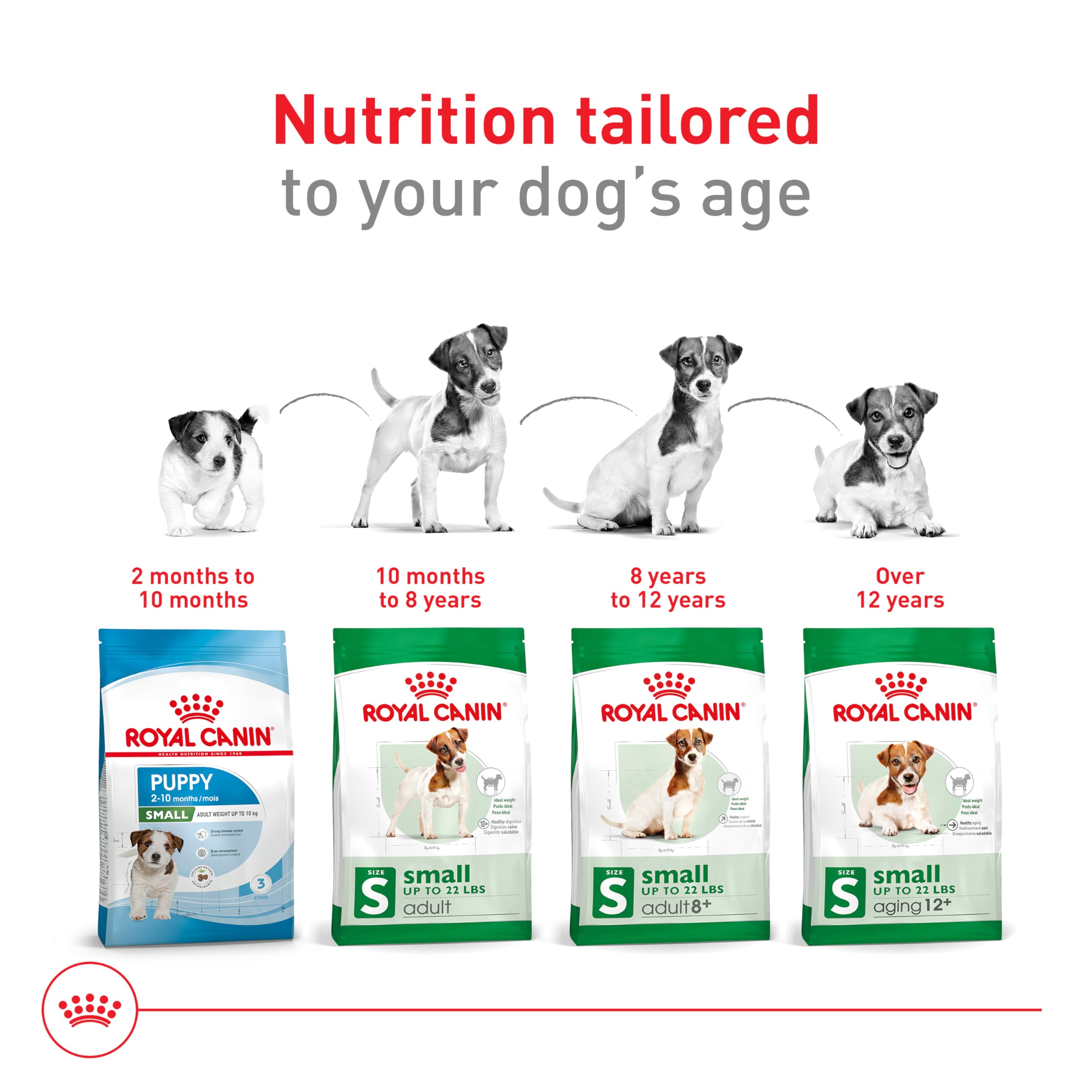 Royal Canin Size Health Nutrition Small Adult Dry Dog Food, 14 lb Bag