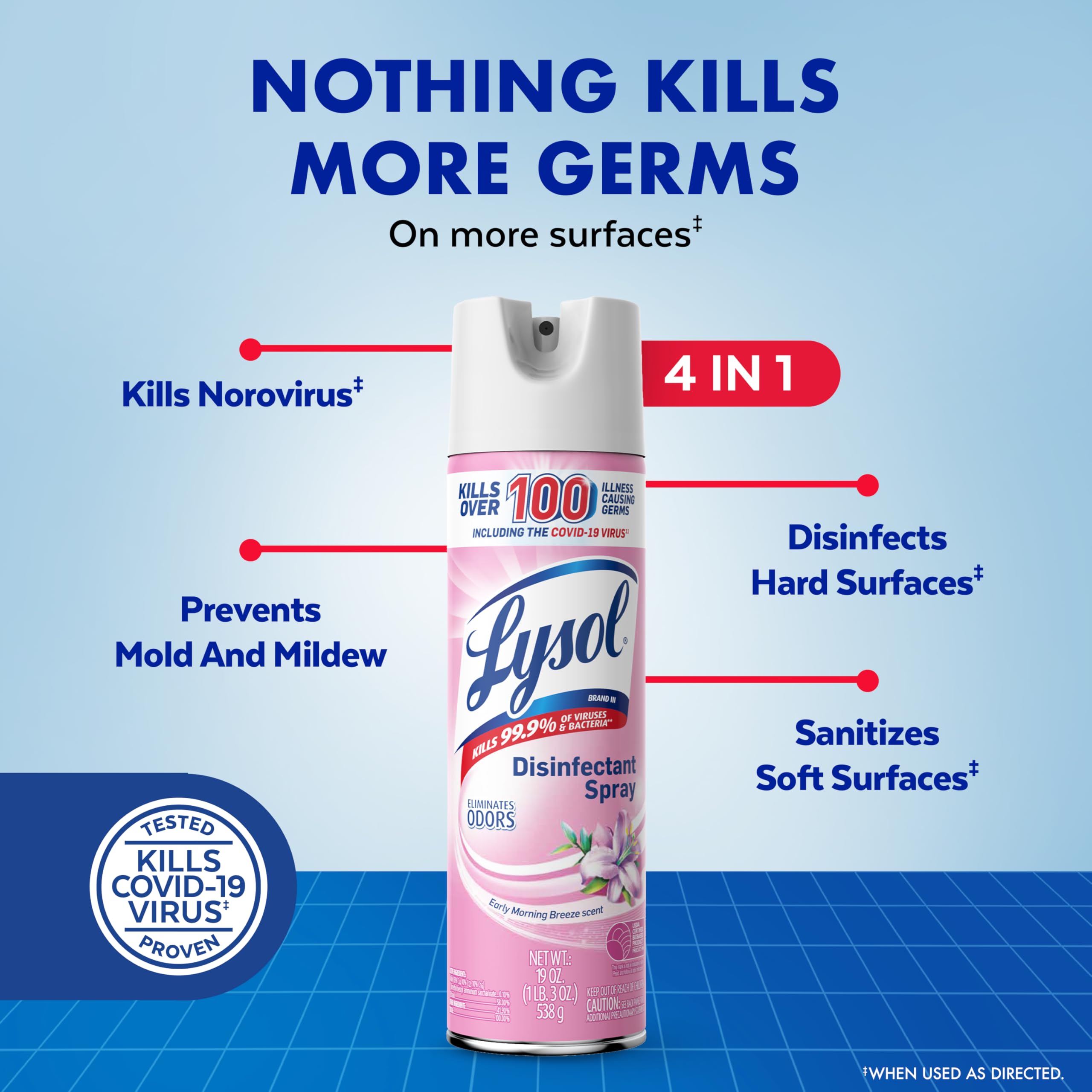 Lysol Disinfectant Spray, Sanitizing And Antibacterial Spray, For Disinfecting And Deodorizing, Early Morning Breeze, 19 Fl Oz (Pack Of 2), Packaging May Vary