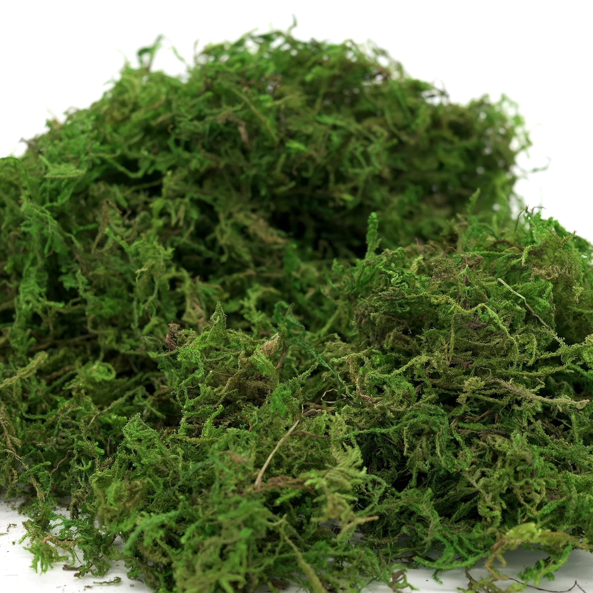 USMOLA Artificial Moss, 16OZ Fake Moss for Crafts, Decorative Centerpieces, Fairy Garden, Wedding Party Decor, Faux Potted Plants, 455gr (Fresh Green)