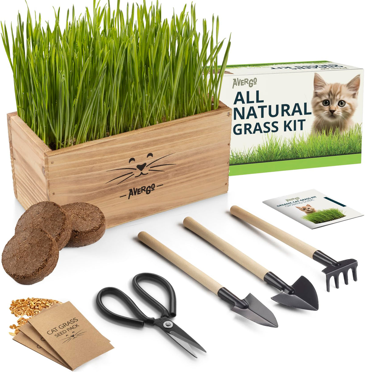 Katzengras-Kit für Hauskatzen – 4x Samenpakete | Katzengrassamen mit Holzpflanzgefäß, Erde & Mini-Gartengeräten zum Anknabbern – Haustiersicheres Weizengras