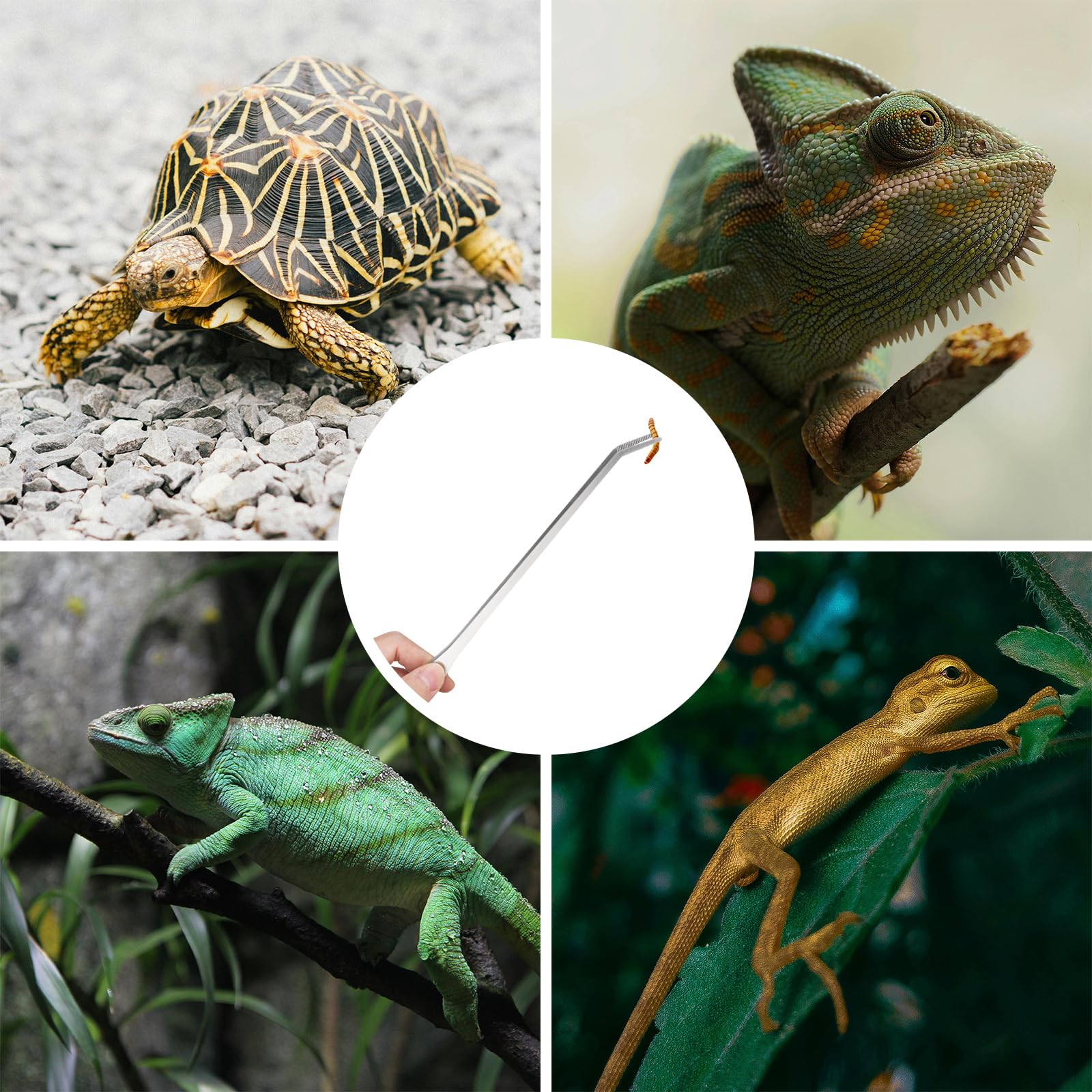 Fri4Free 2PCS Long Aquarium Tweezers - 10.6" Straight and Curved Tweezers, Stainless Steel Reptile Feeding tongs, Terrarium Aquascape Tools Feeder for Lizards, Bearded Dragon Snake Tank Accessories