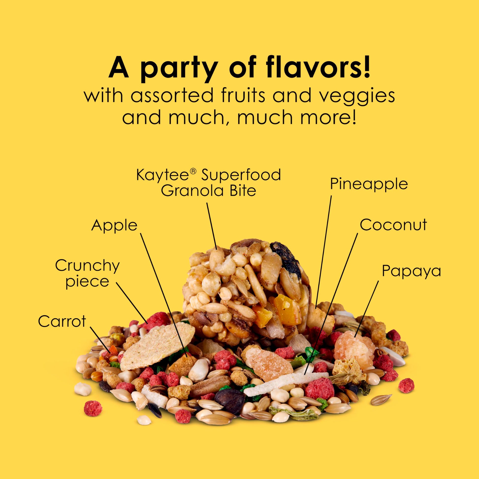 Kaytee Fiesta Parakeet Food, Nutritious and Fun Blend, Supports Skin, Feather, Digestion, Brain and Heart Health, 2 pounds