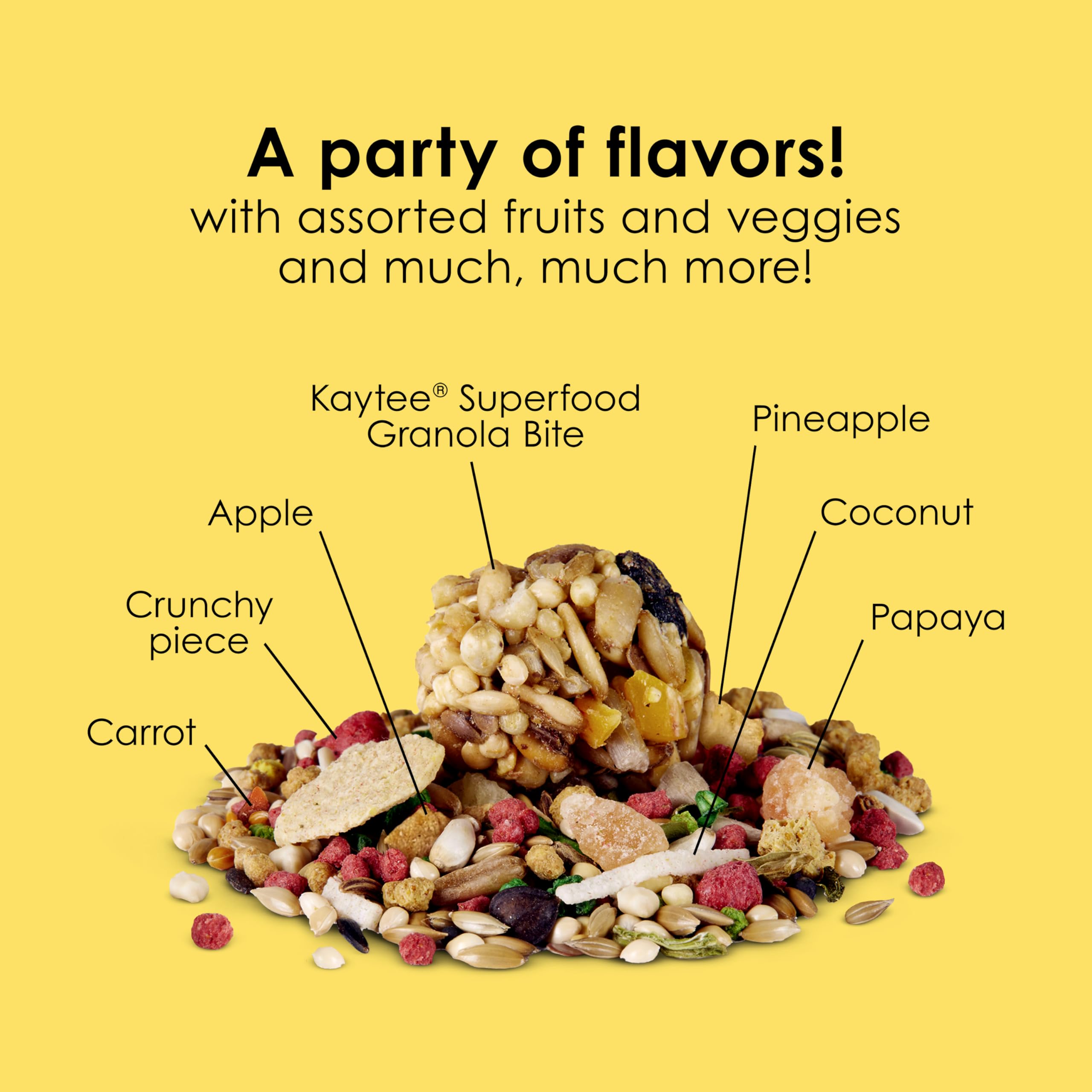 Kaytee Fiesta Parakeet Food, Nutritious and Fun Blend, Supports Skin, Feather, Digestion, Brain and Heart Health, 2 pounds