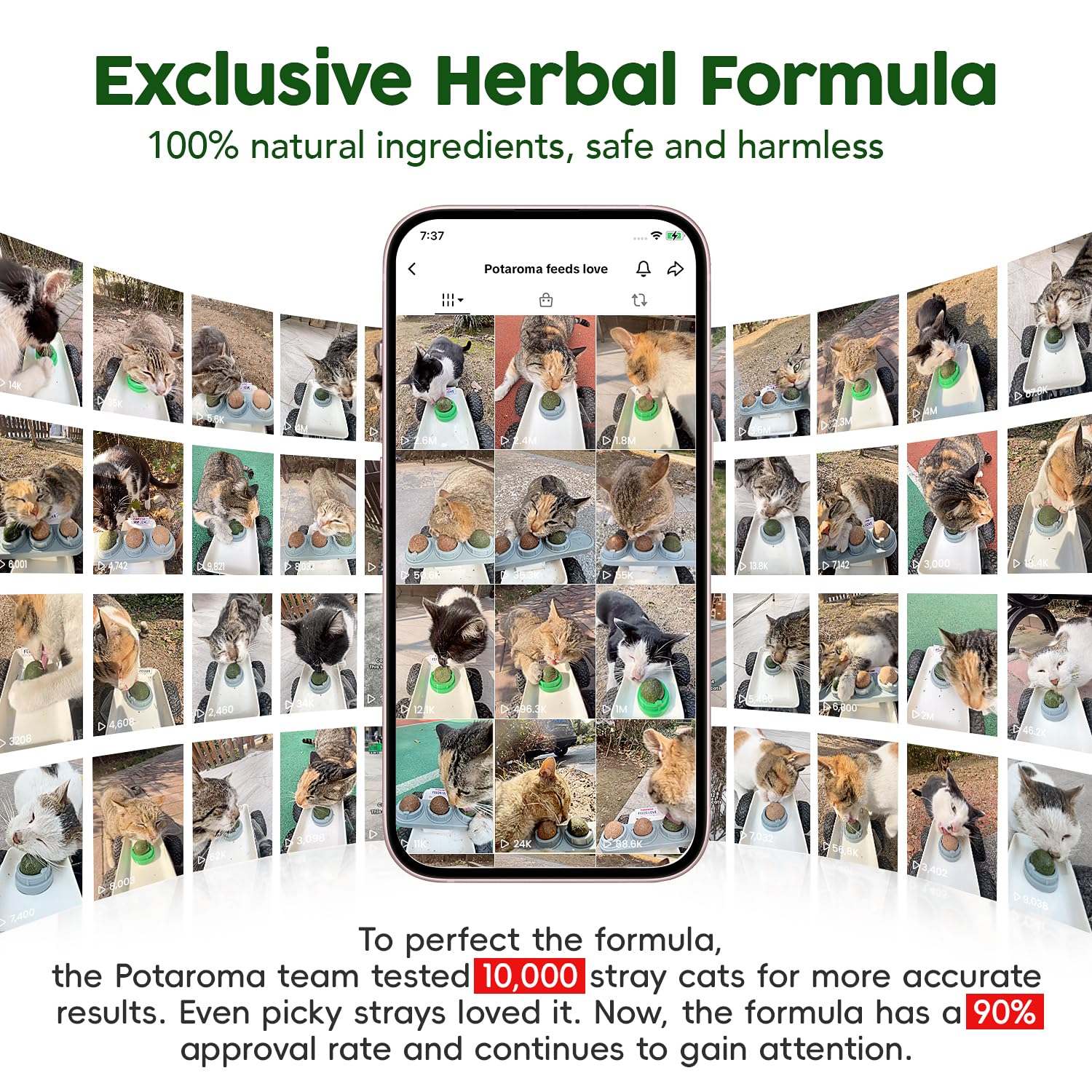 Potaroma Catnip Toys Balls 4 Pcs, Extra Cat Energy Ball, Edible Kitten Silvervine Toys for Cats Lick, Healthy Kitty Teeth Cleaning Dental Chew Toys, Cat Wall Treats (Green)