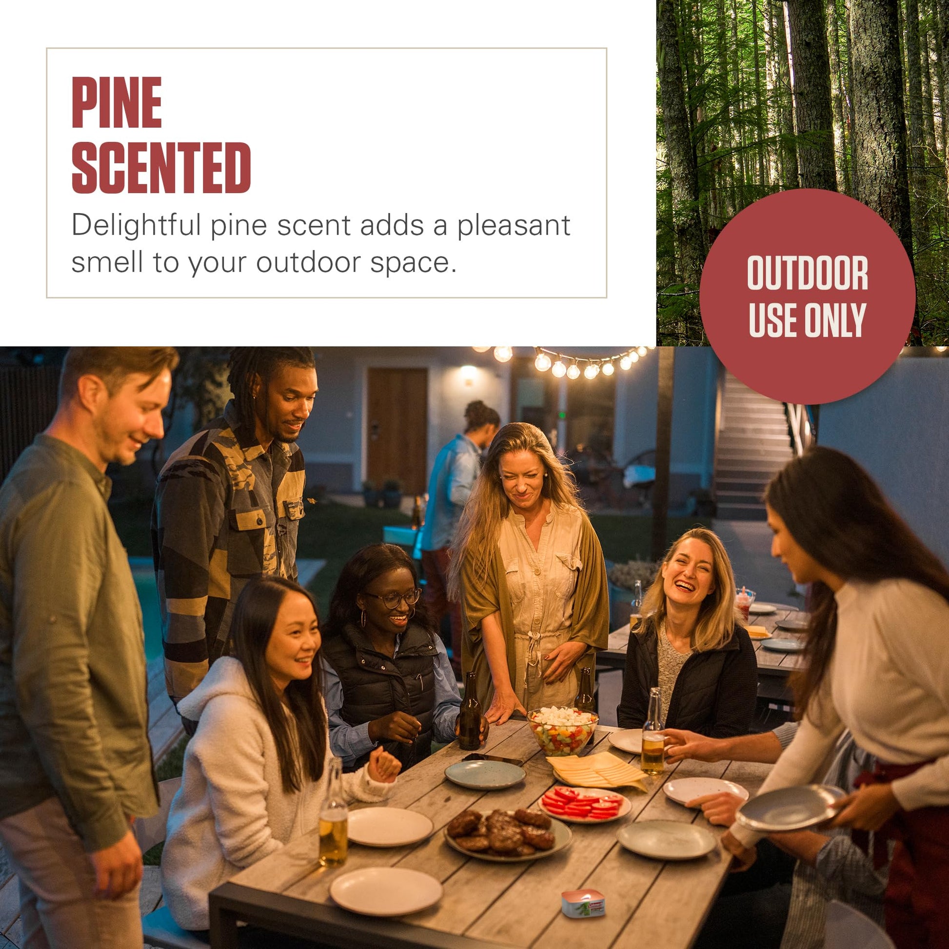 Coleman Pine Scented Citronella Candle with Wooden Crackle Wick - 6 oz Tin