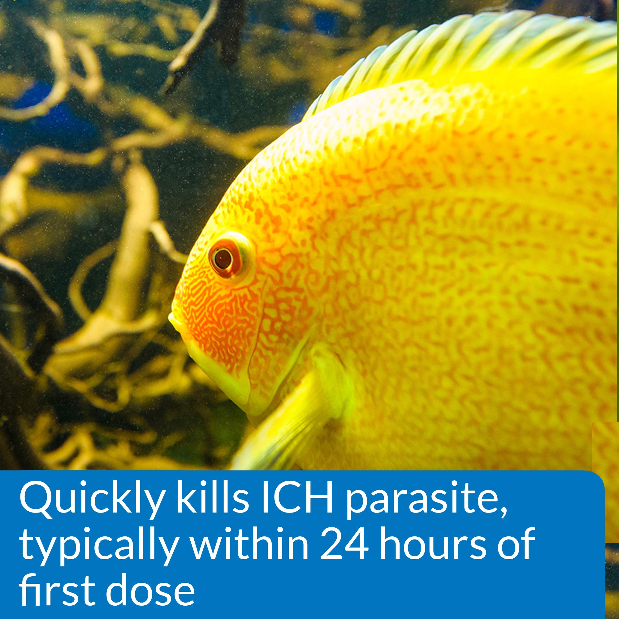 API LIQUID SUPER ICK CURE Fish remedy, Freshwater and Saltwater Fish Medication 4 fl oz(Pack of 1), White