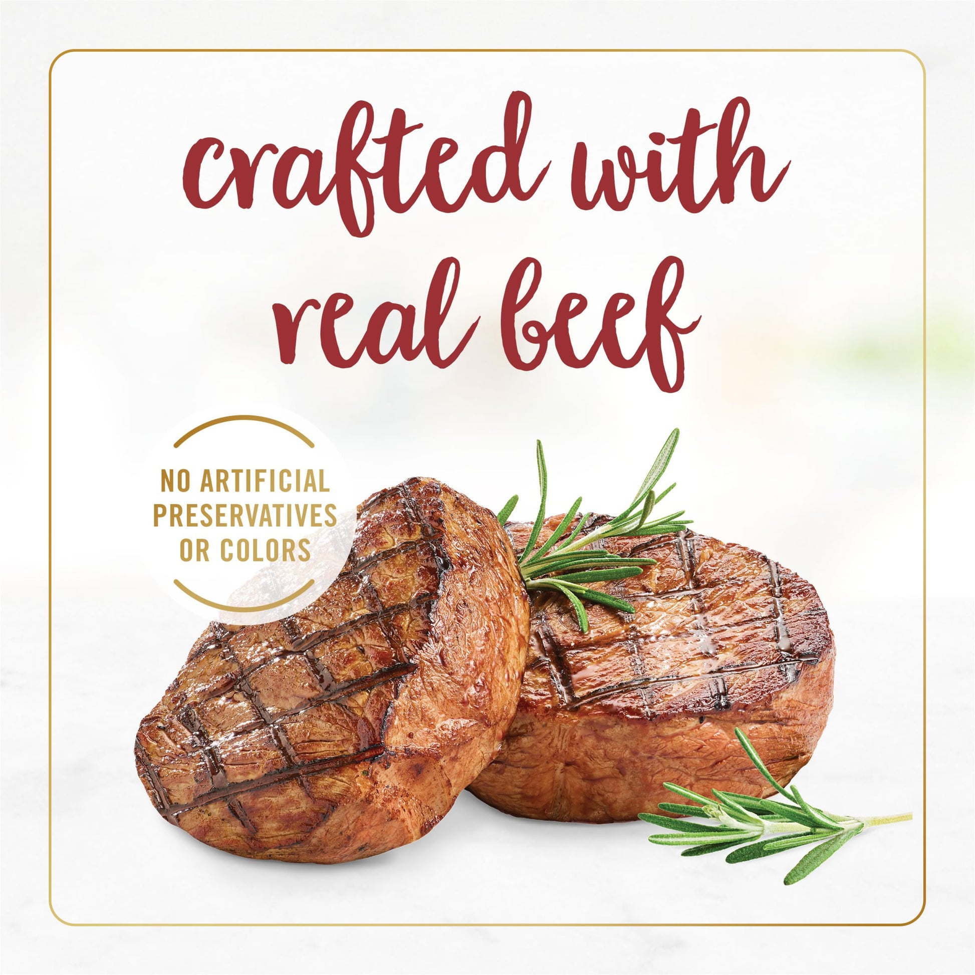 Purina Fancy Feast Gravy Lovers Beef Feast Grilled Gourmet Cat Food in Wet Cat Food Gravy - (Pack of 24) 3 oz. Cans