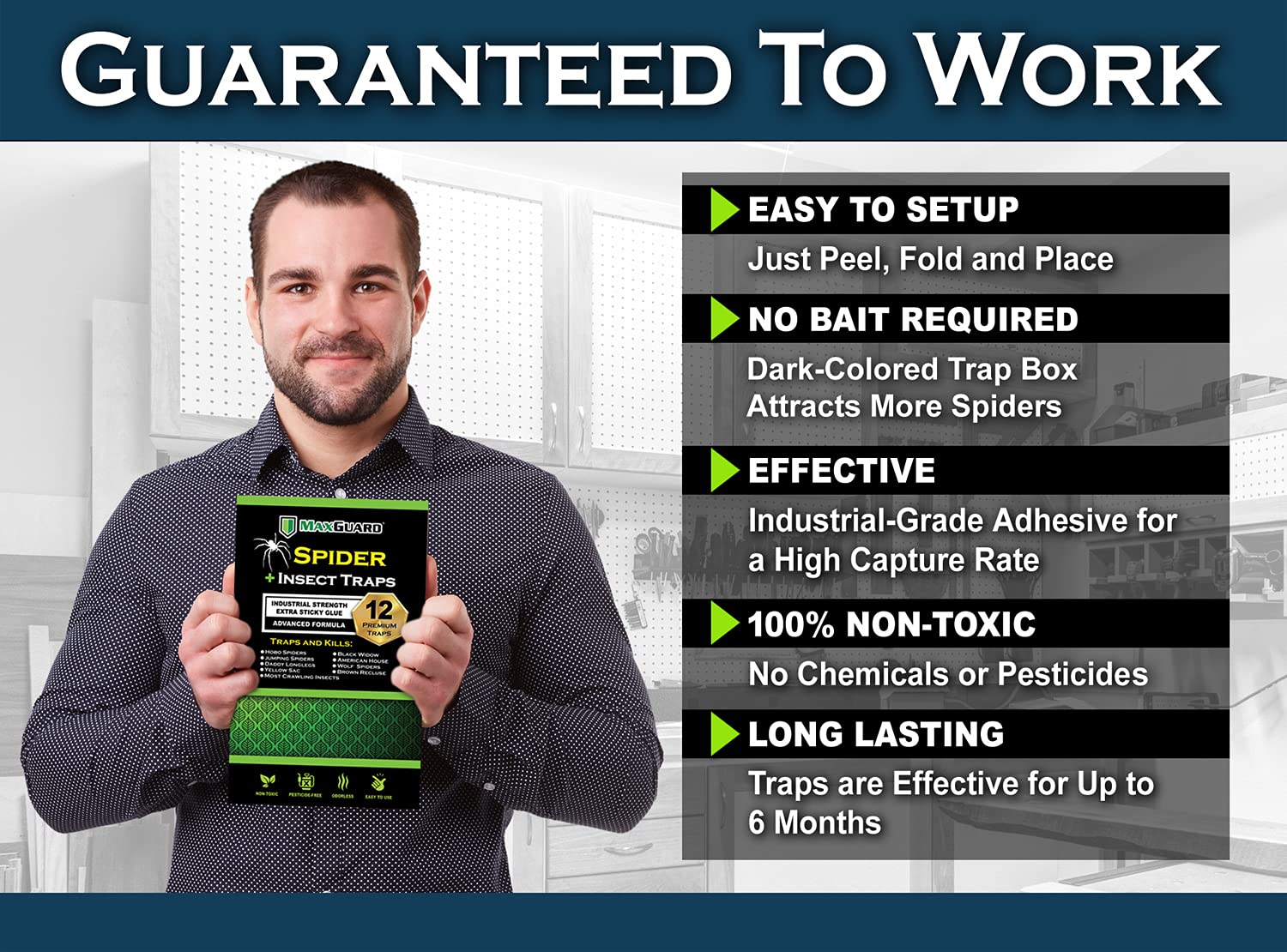 MaxGuard Spider + Insect Traps (12 pcs Box Trap) | Non-Toxic Extra Sticky Glue Traps, Kill Black Widow Hobo Brown Recluse Spiders and Other Crawling Bugs & Insects |